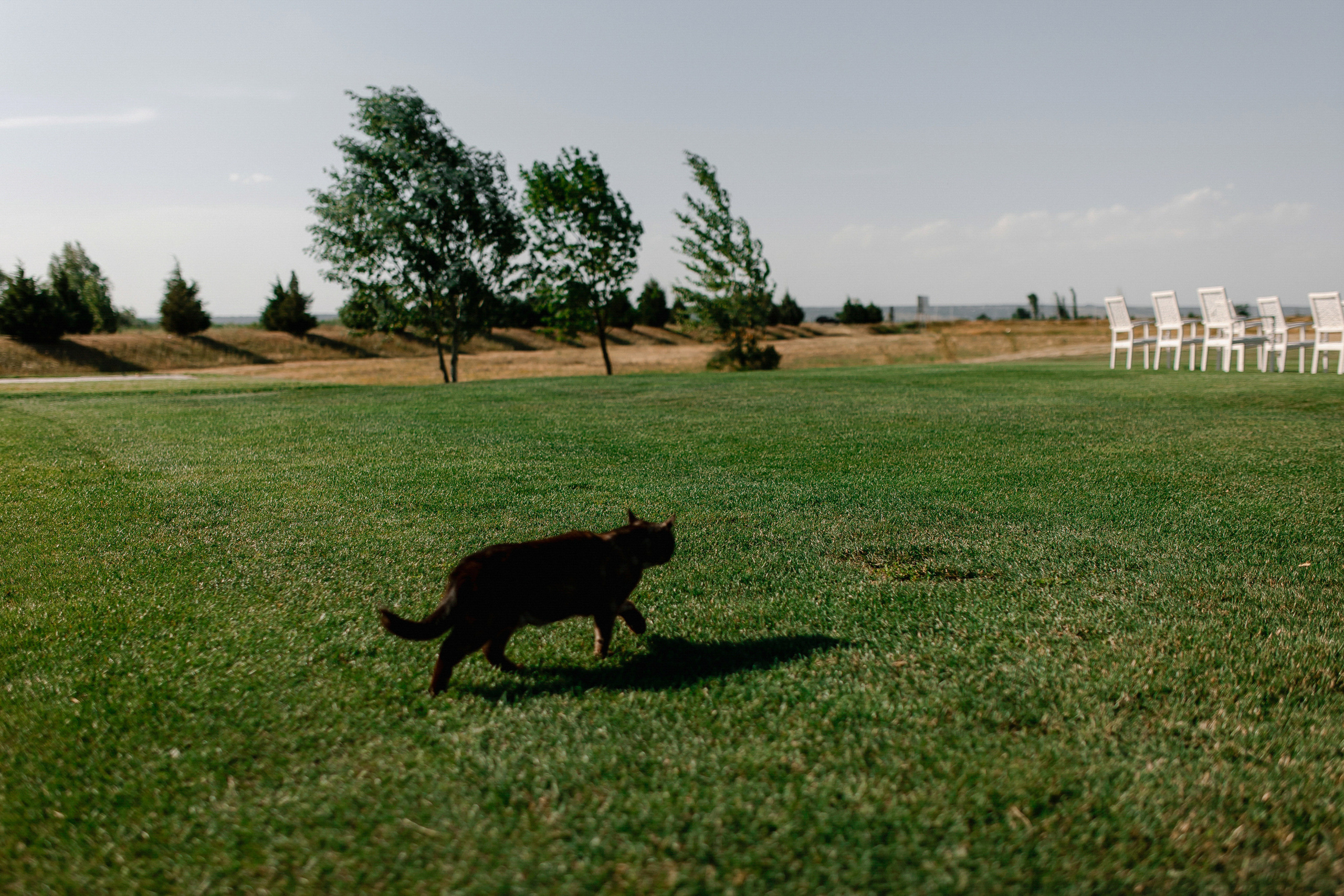 Георгий и Галина (2022г). Свадебный фотограф в Ростове-на-Дону