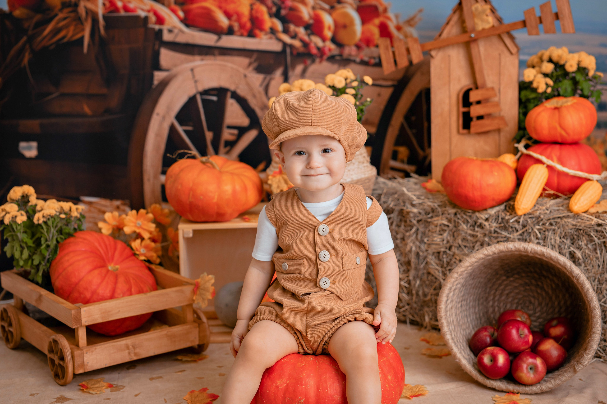 Тыквы. Фотограф Болотова Иветта