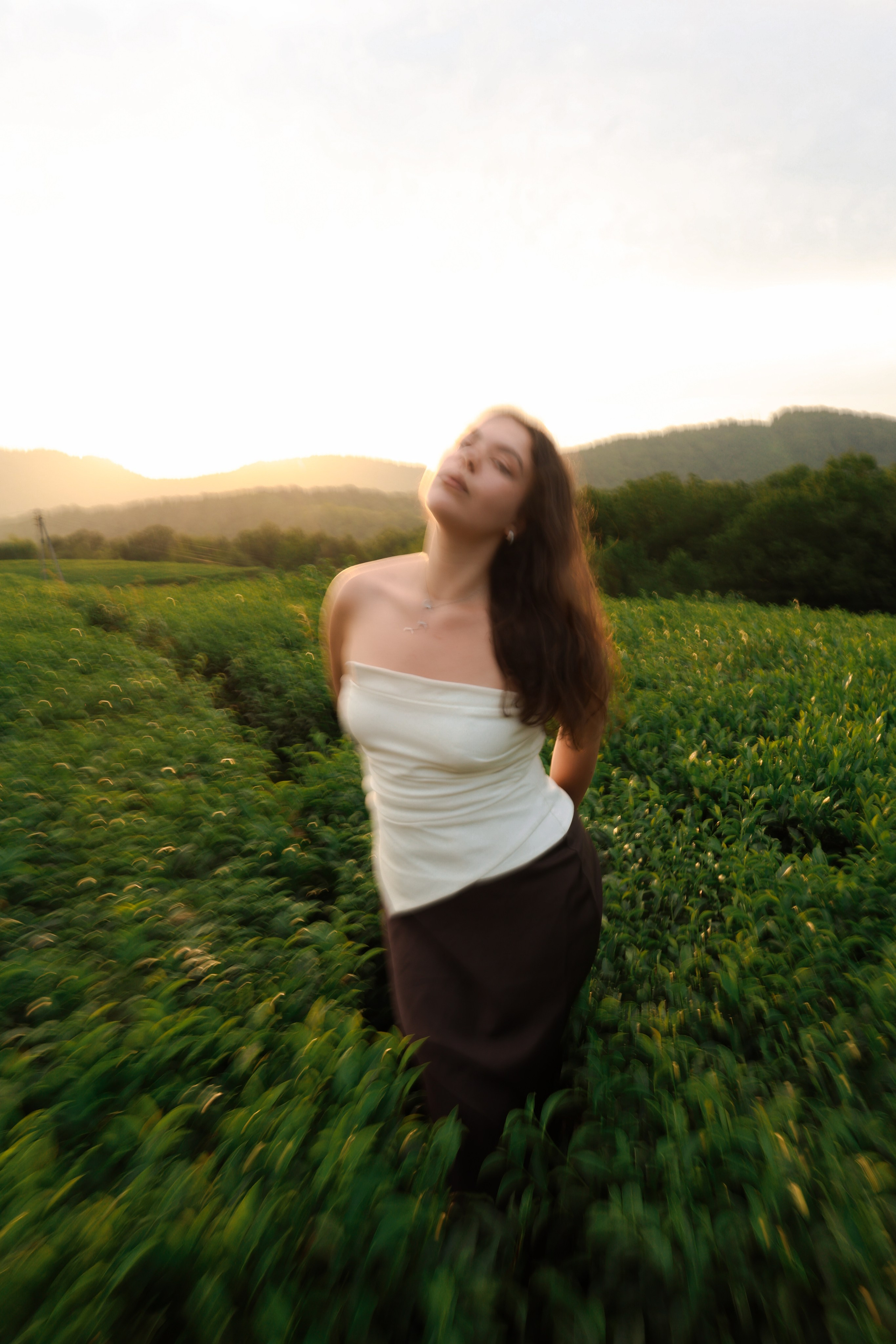 ЧАЙНЫЕ ПЛАНТАЦИИ. Фотограф Москва Оля Олбимак