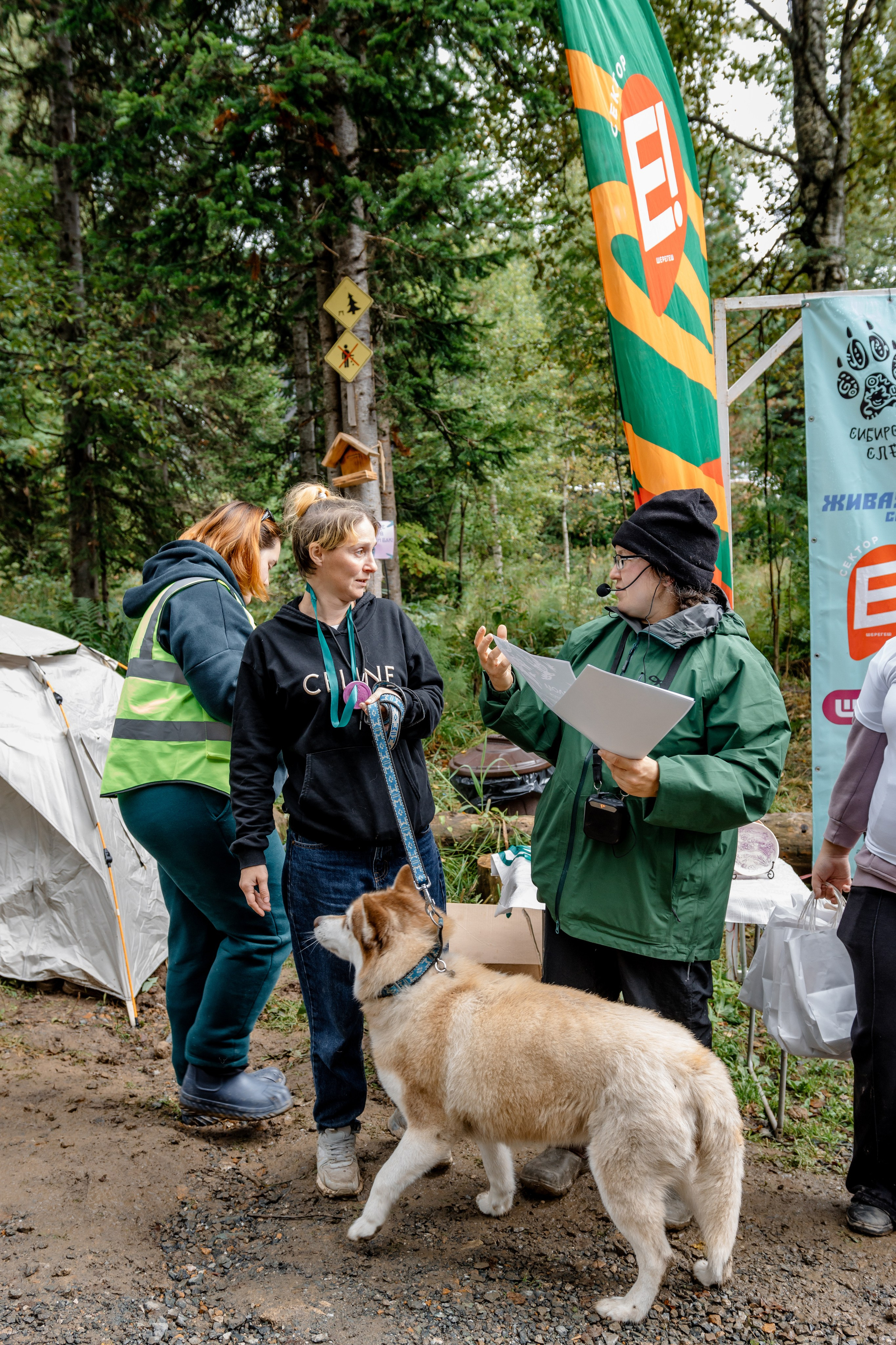 Дог-треккинг