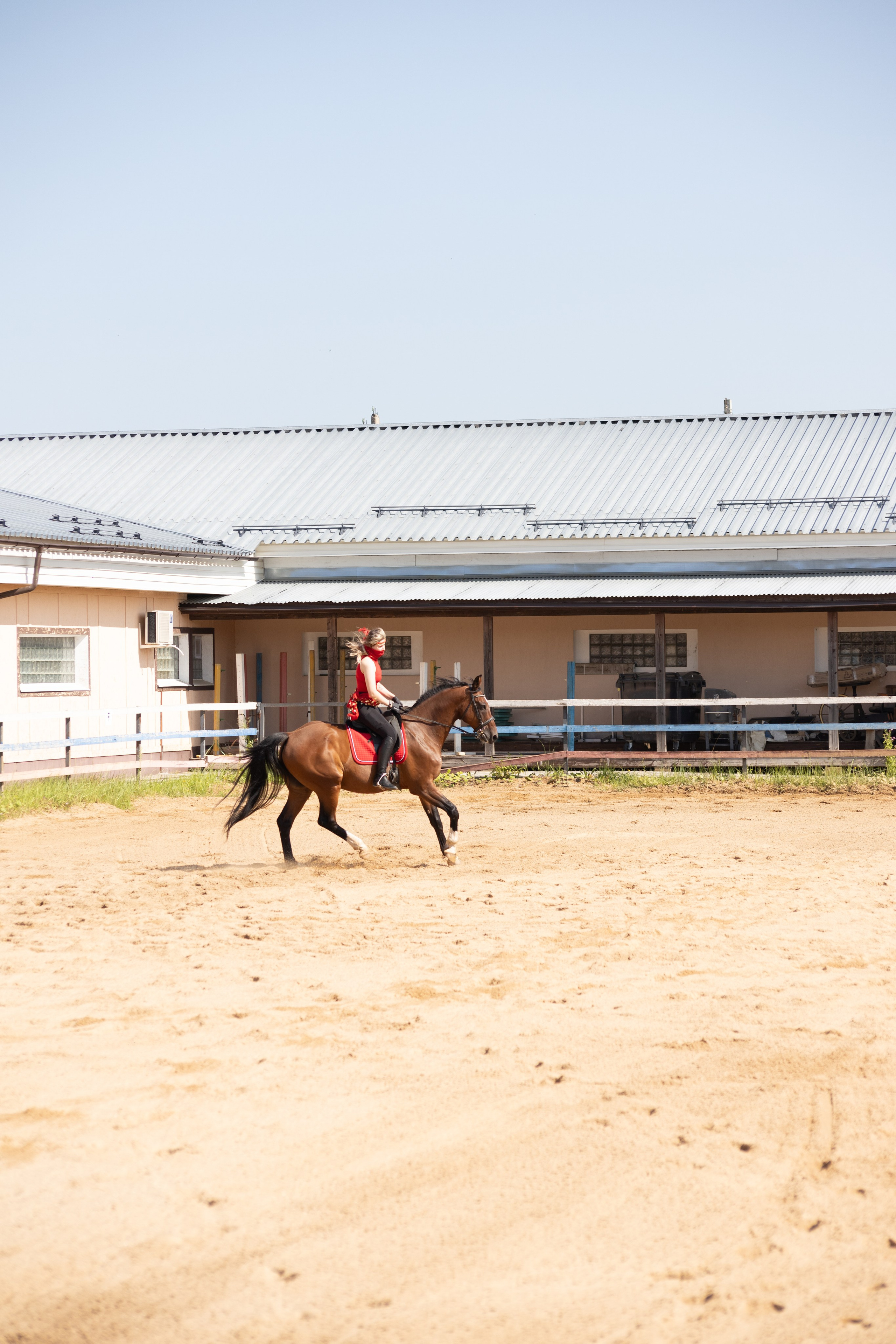 Конюшня. Фотограф в Москве и Истре