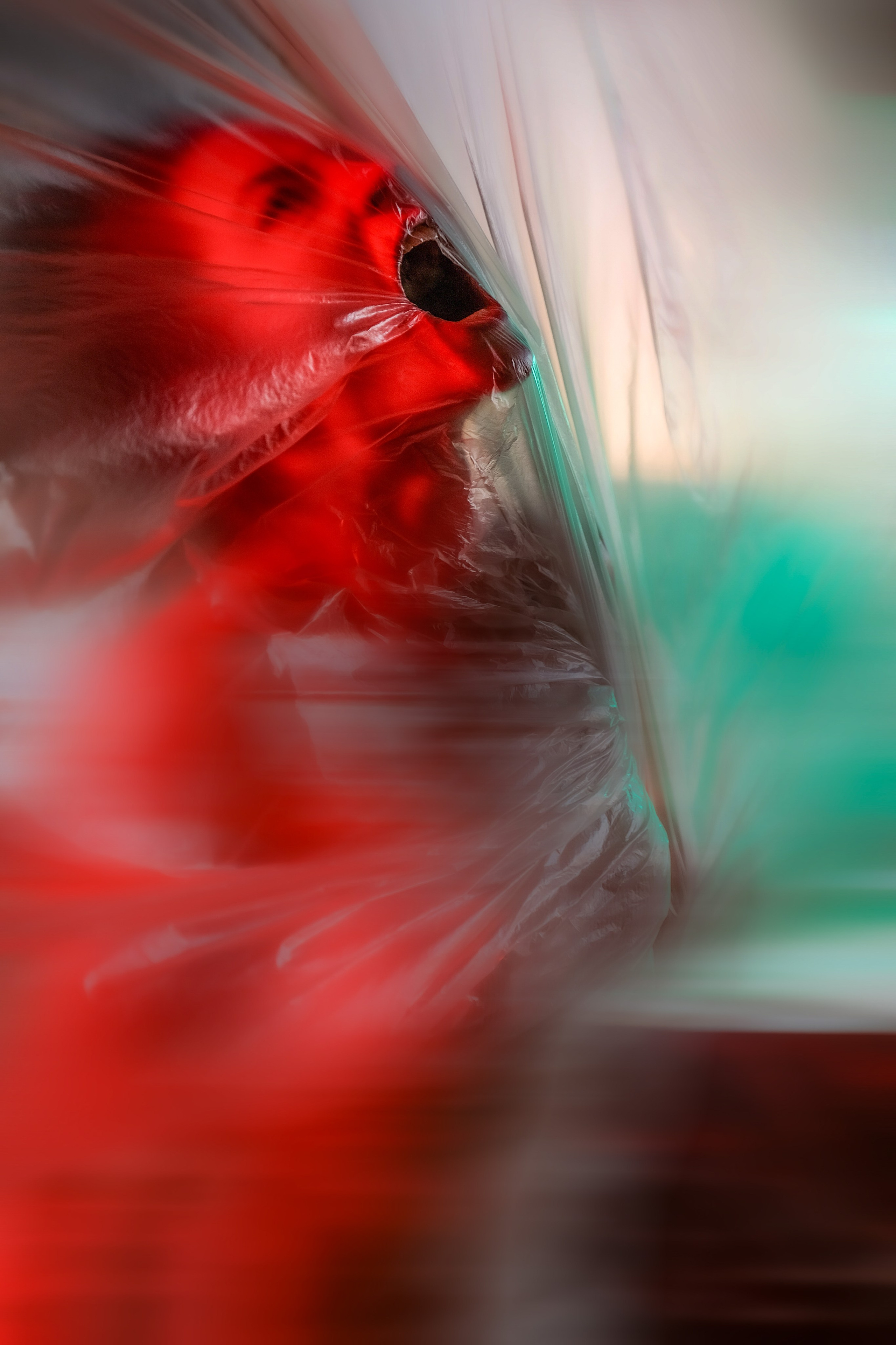 Творческая съемка в Санкт-Петербурге. Фотограф I Санкт-Петербург