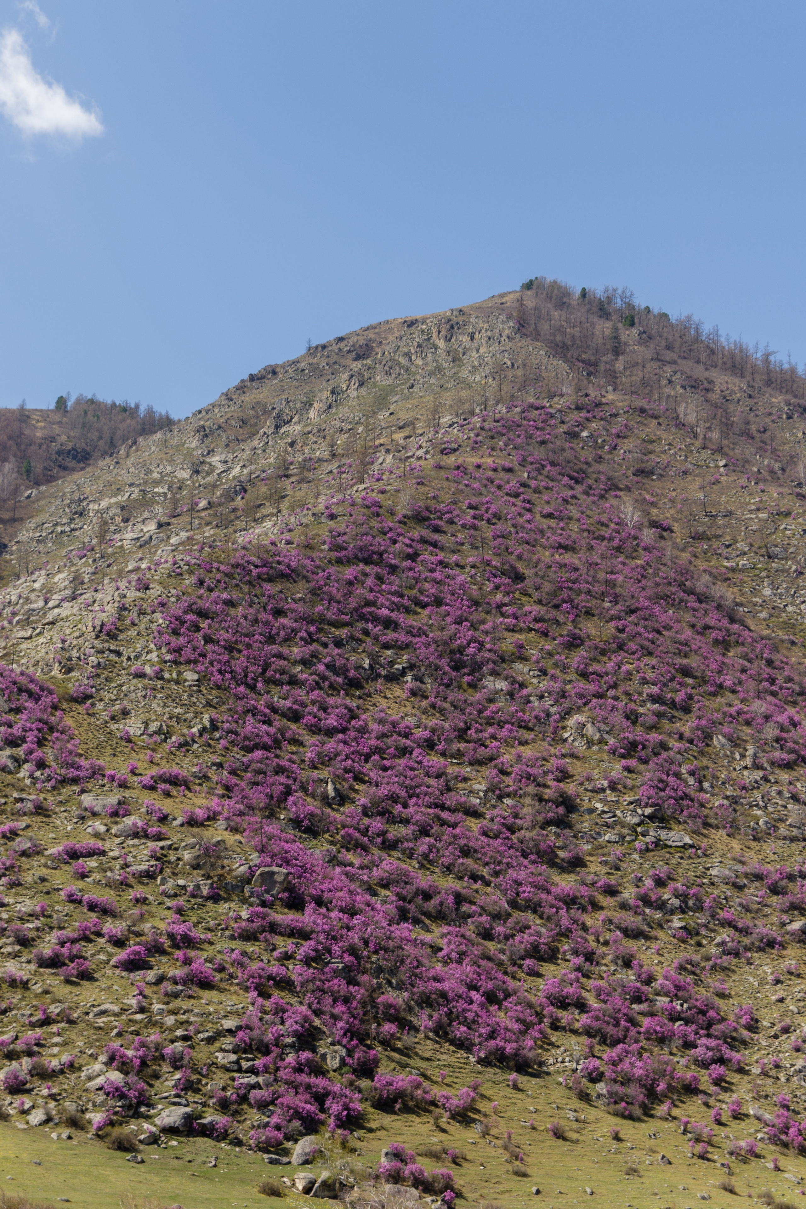 Горный Алтай. Фотограф Кирилл Мешков Кемерово