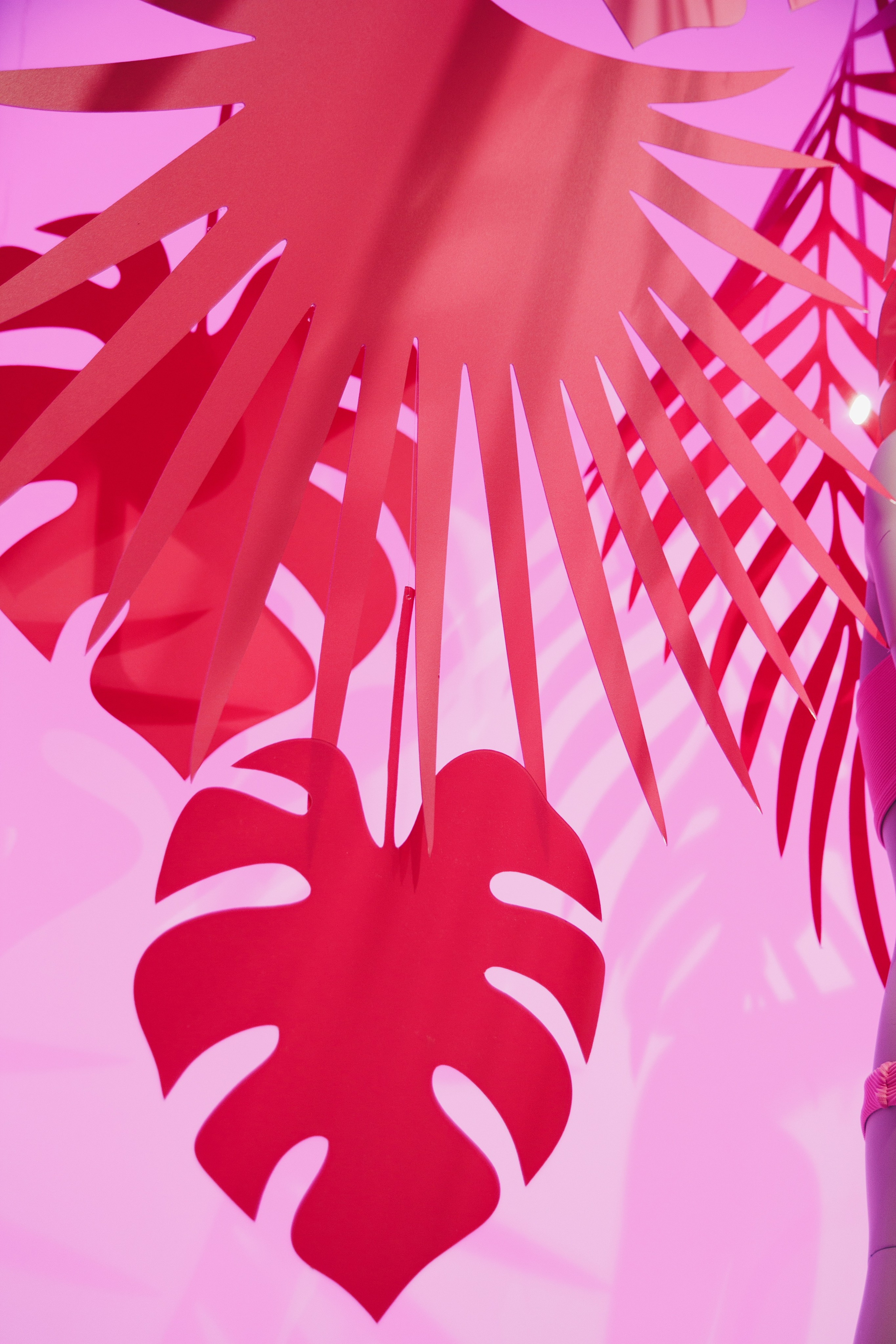 Оформление витрин Универмаг первый 2023. Ксения Почтарь. Декоратор и флорист, город Владивосток