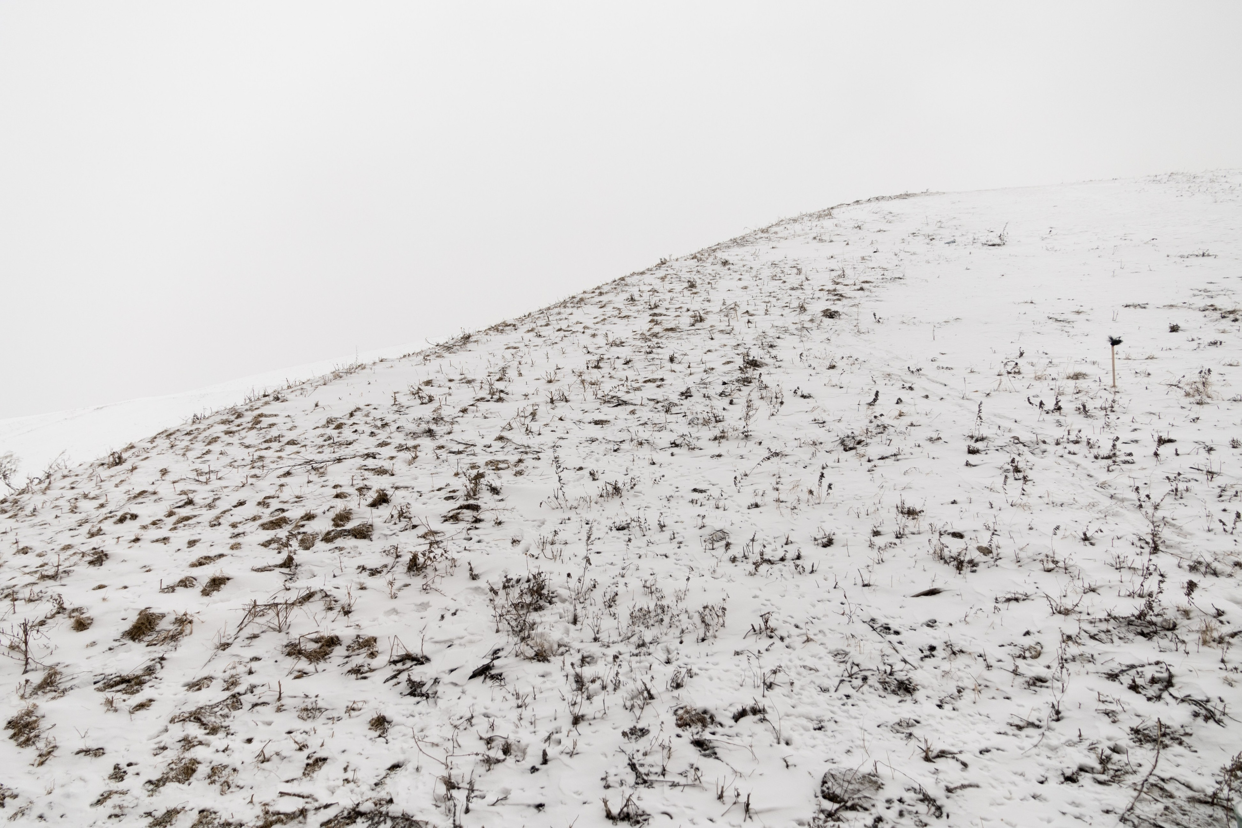 Я здесь живу. DASHA KALNINA