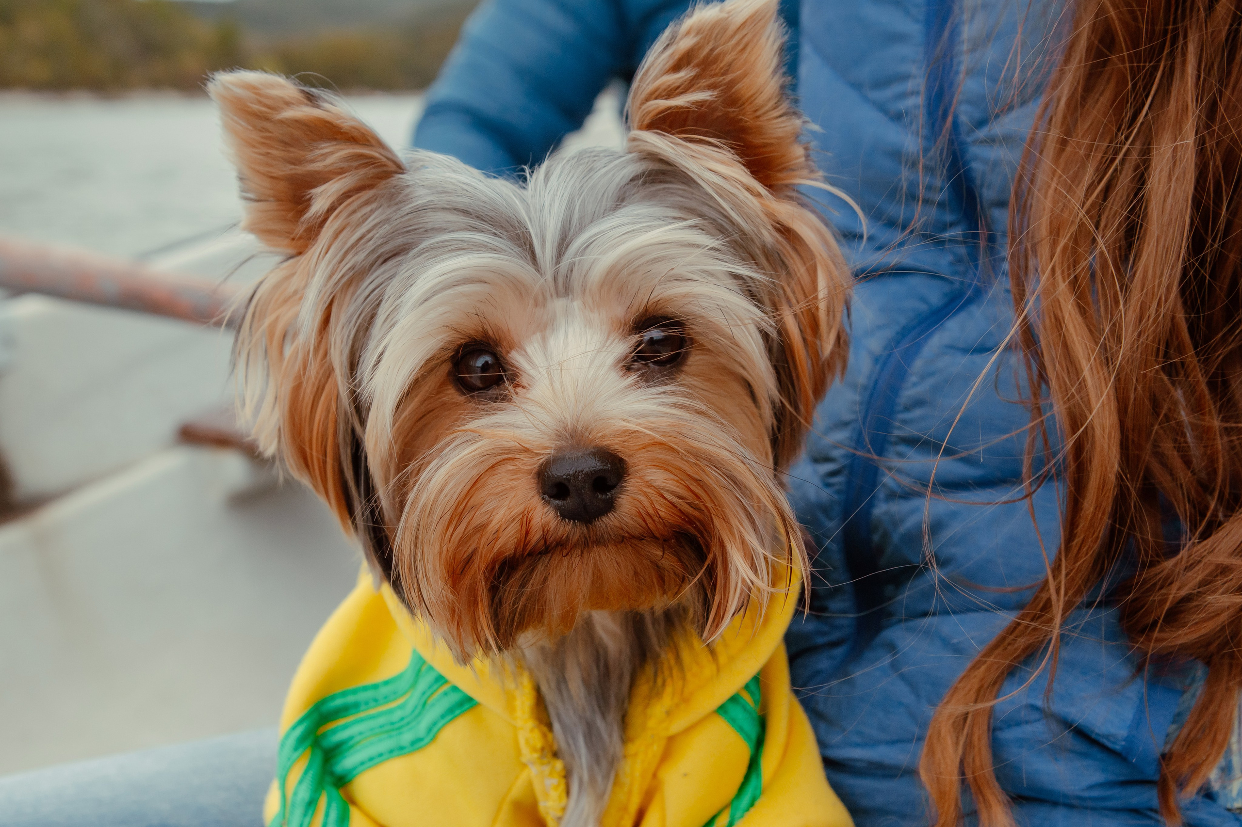 На озере. Фотограф Новороссийск