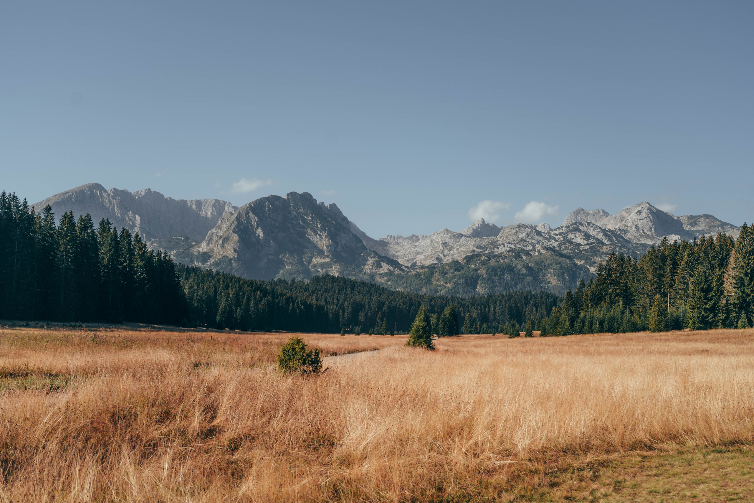ЦРВЕНА ГРЕДА. ЧЕРНОГОРИЯ. Фотограф в Белграде Чугреева Елена
