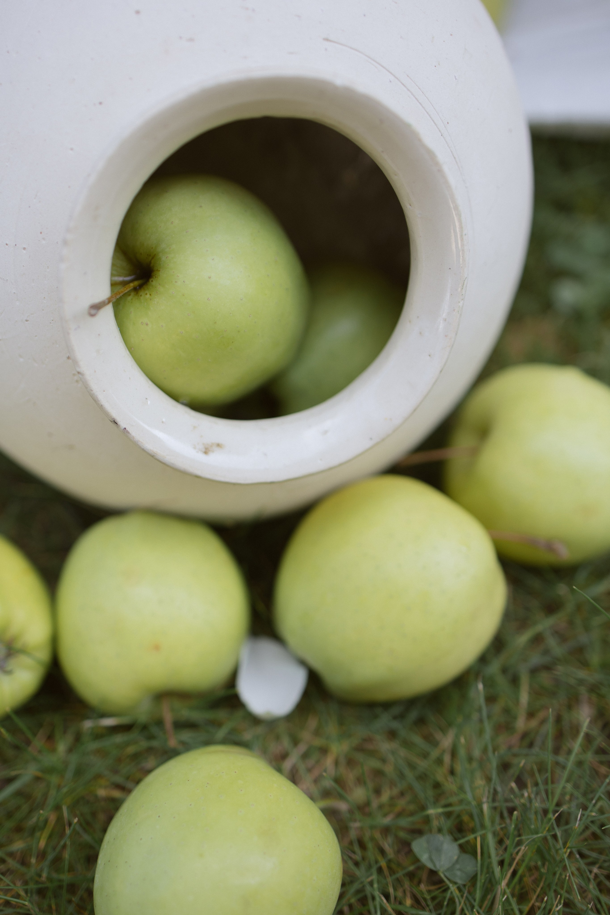 Диана & Дима. Свадебный фотограф в Минске, свадебный фотограф в Грузии, свадебный фо