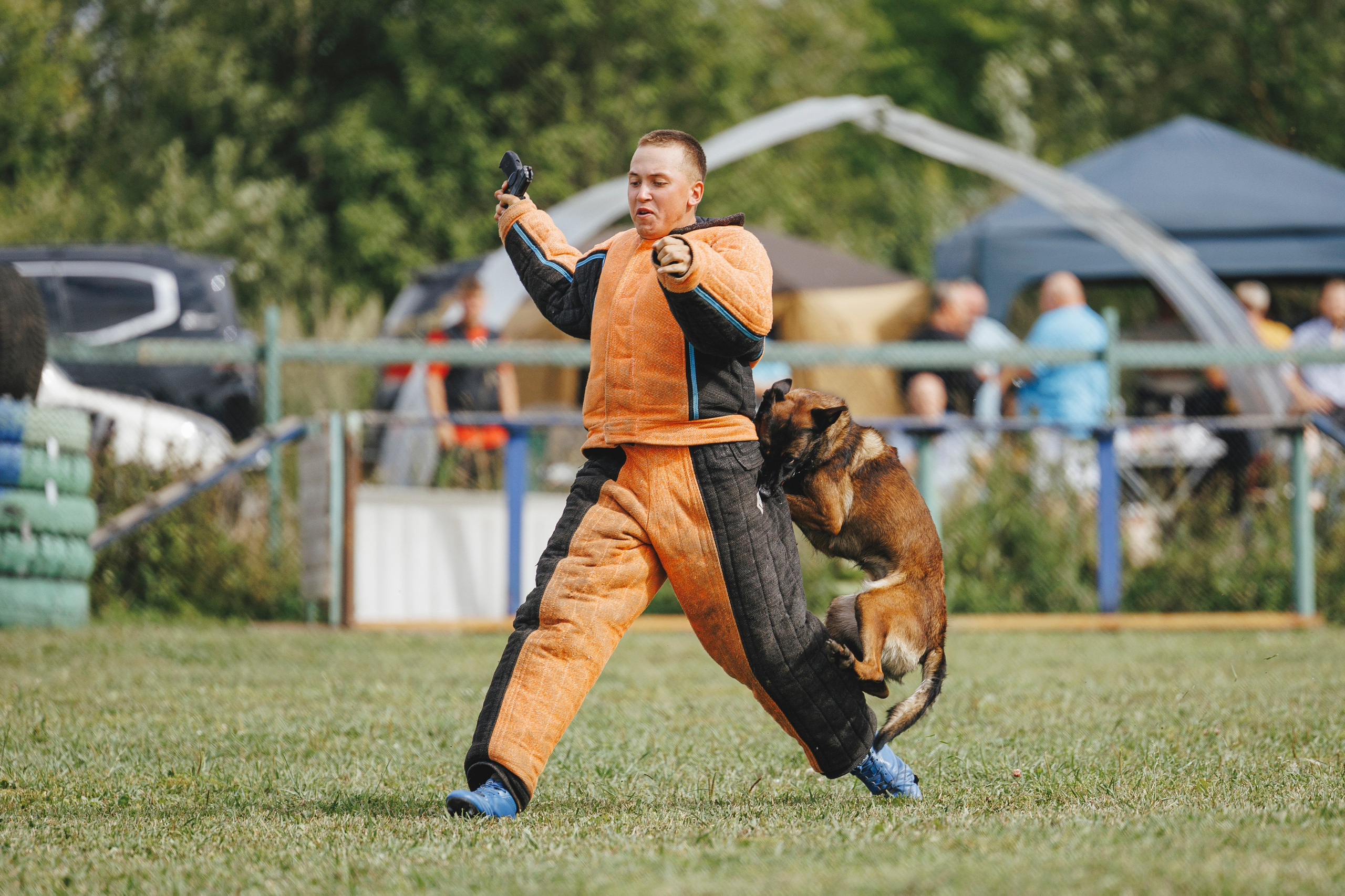 08.08.25-10.08.25 ЧР по мондьорингу г. Вологда. Фотограф-анималист Анна Маринич