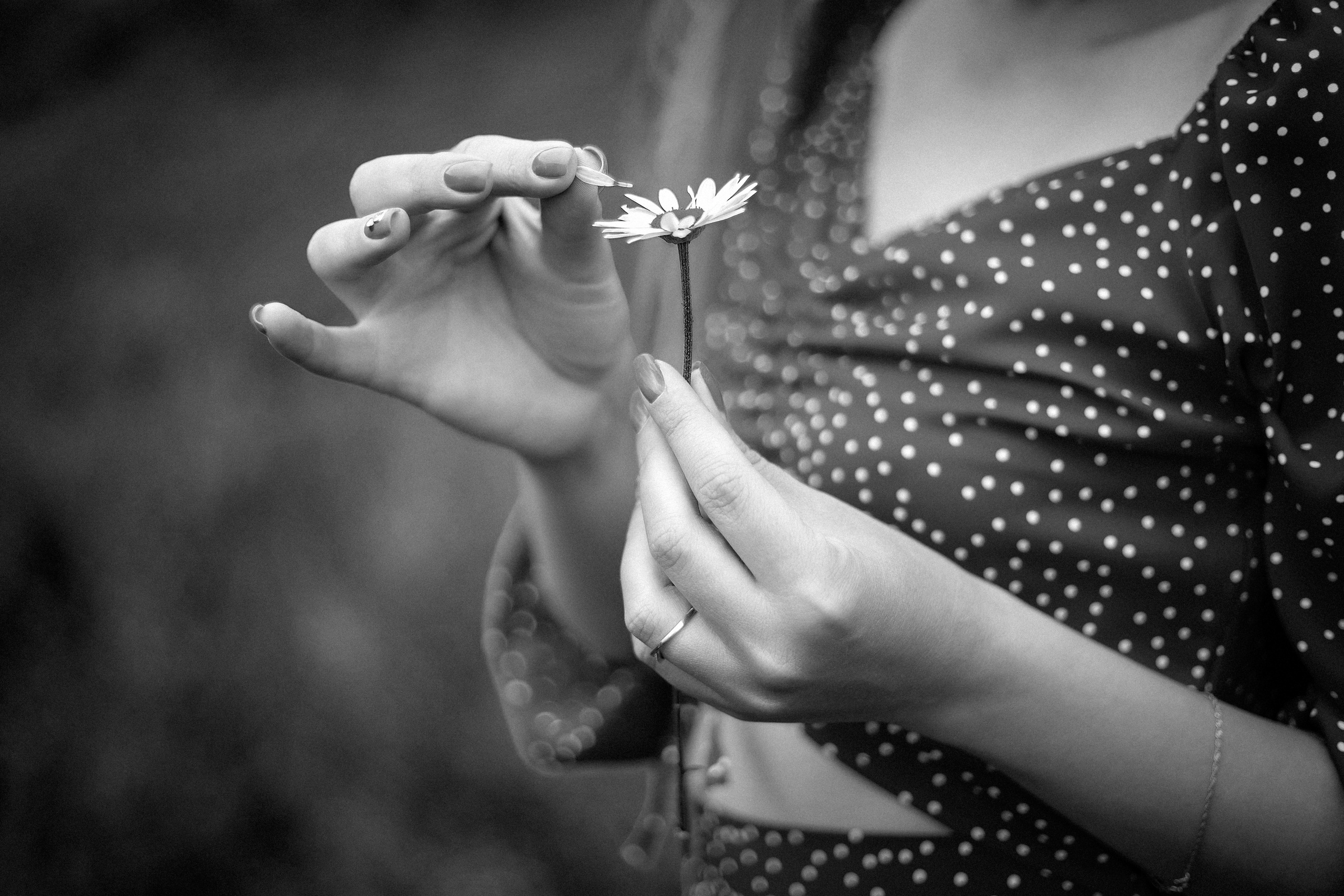 Чёрно-белое. Фотограф Пятигорск Кисловодск КМВ — Олег Олди