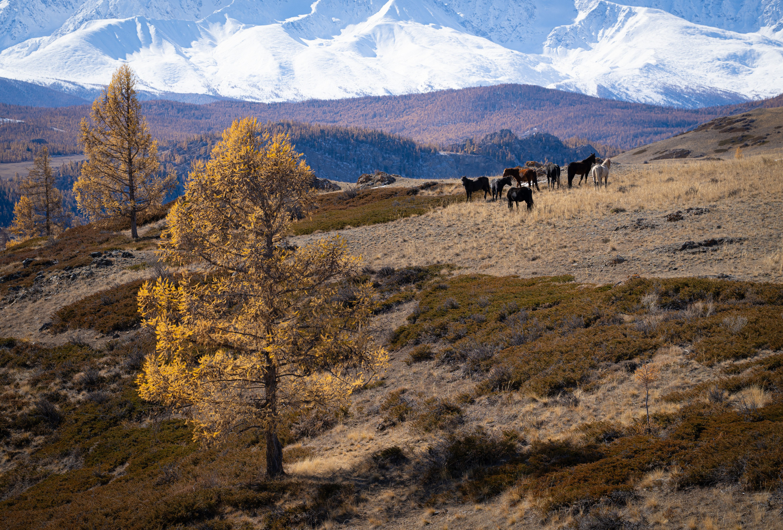 Чуйский тракт. Фотографии Тиграна Худавердяна
