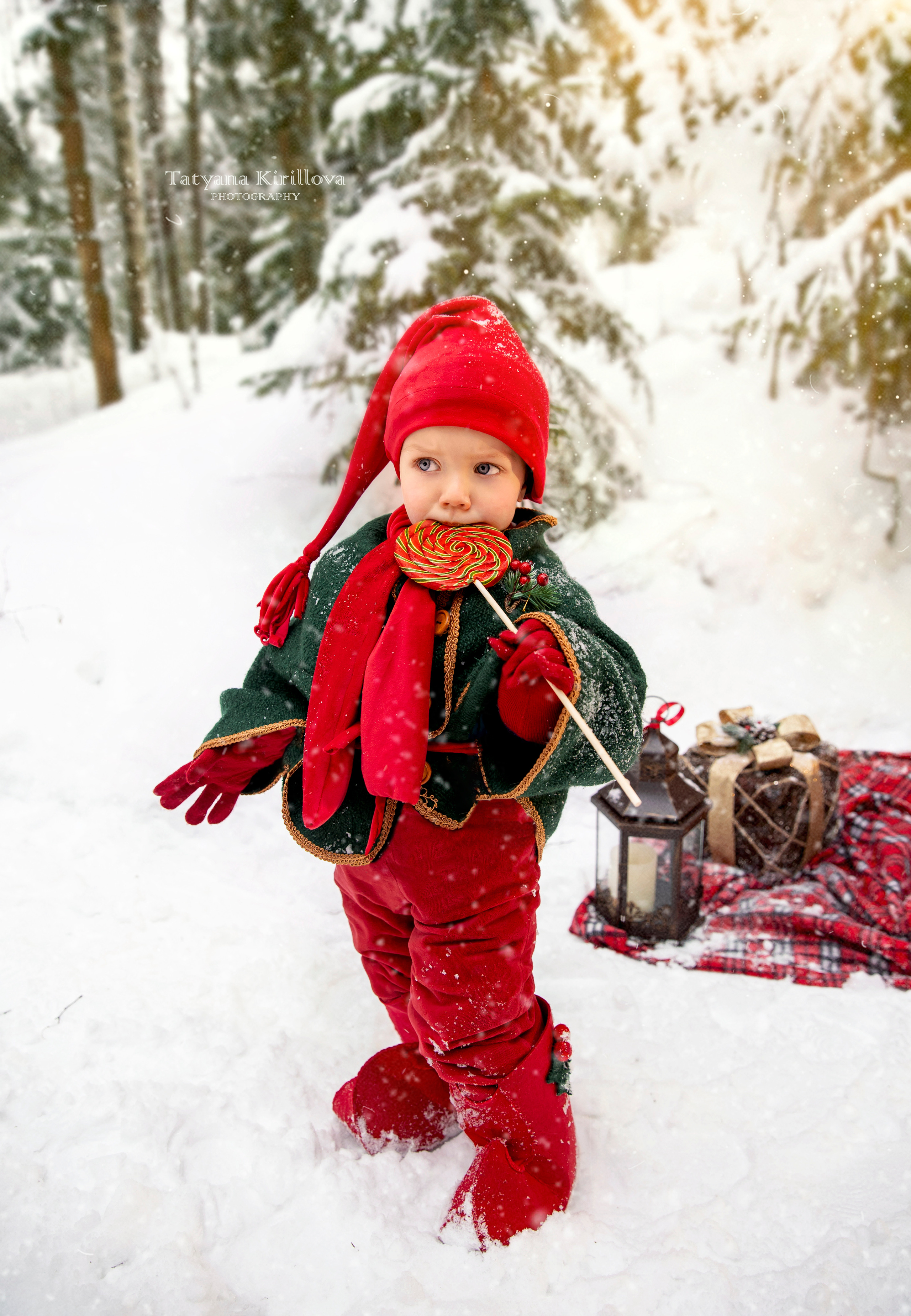 ФОТОПРОЕКТ «ГНОМЫ». Фотограф — Татьяна Кириллова, г. Санкт-Петербург