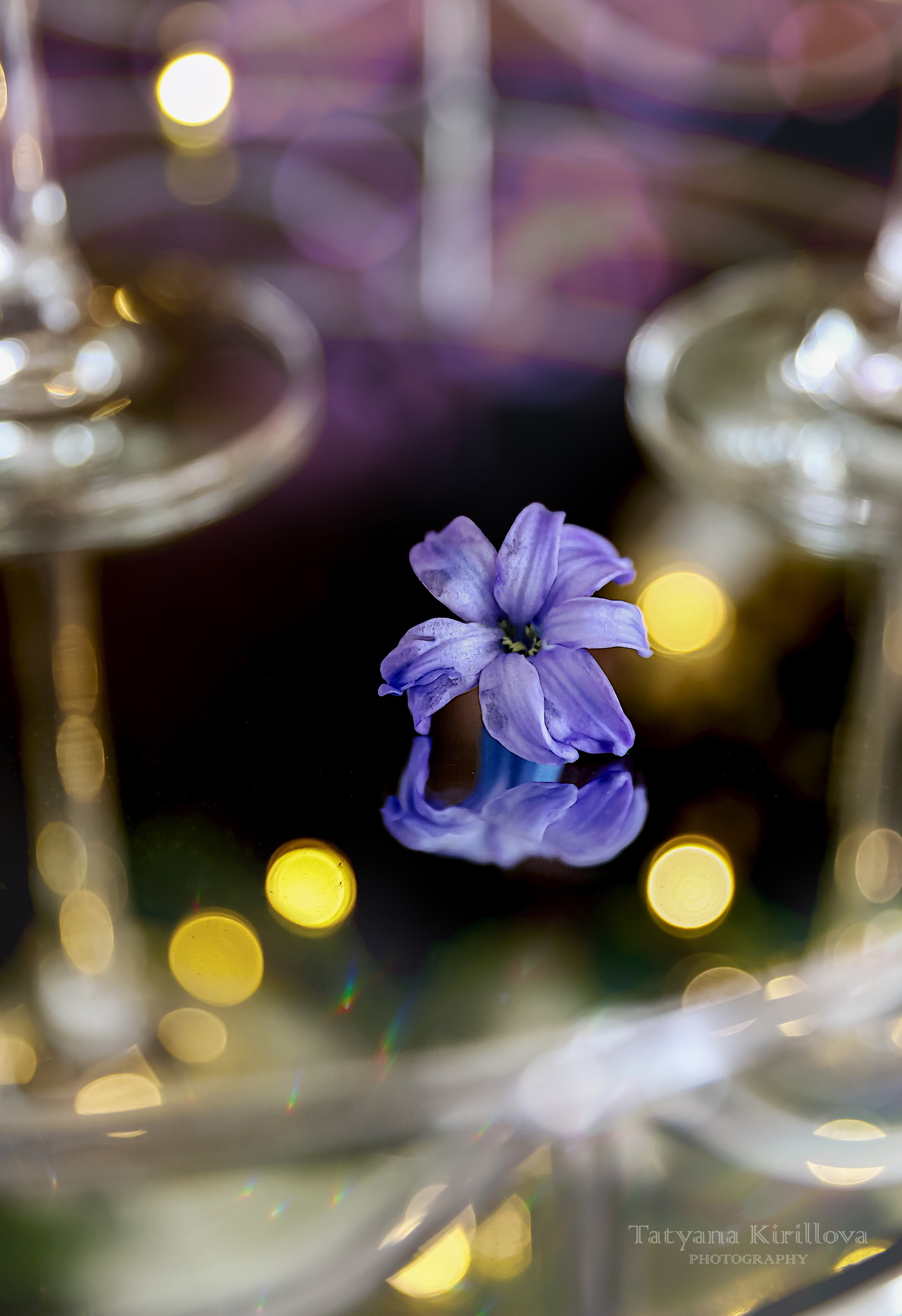 Предметная съемка, цветы, открытки. Фотограф — Татьяна Кириллова, г. Санкт-Петербург