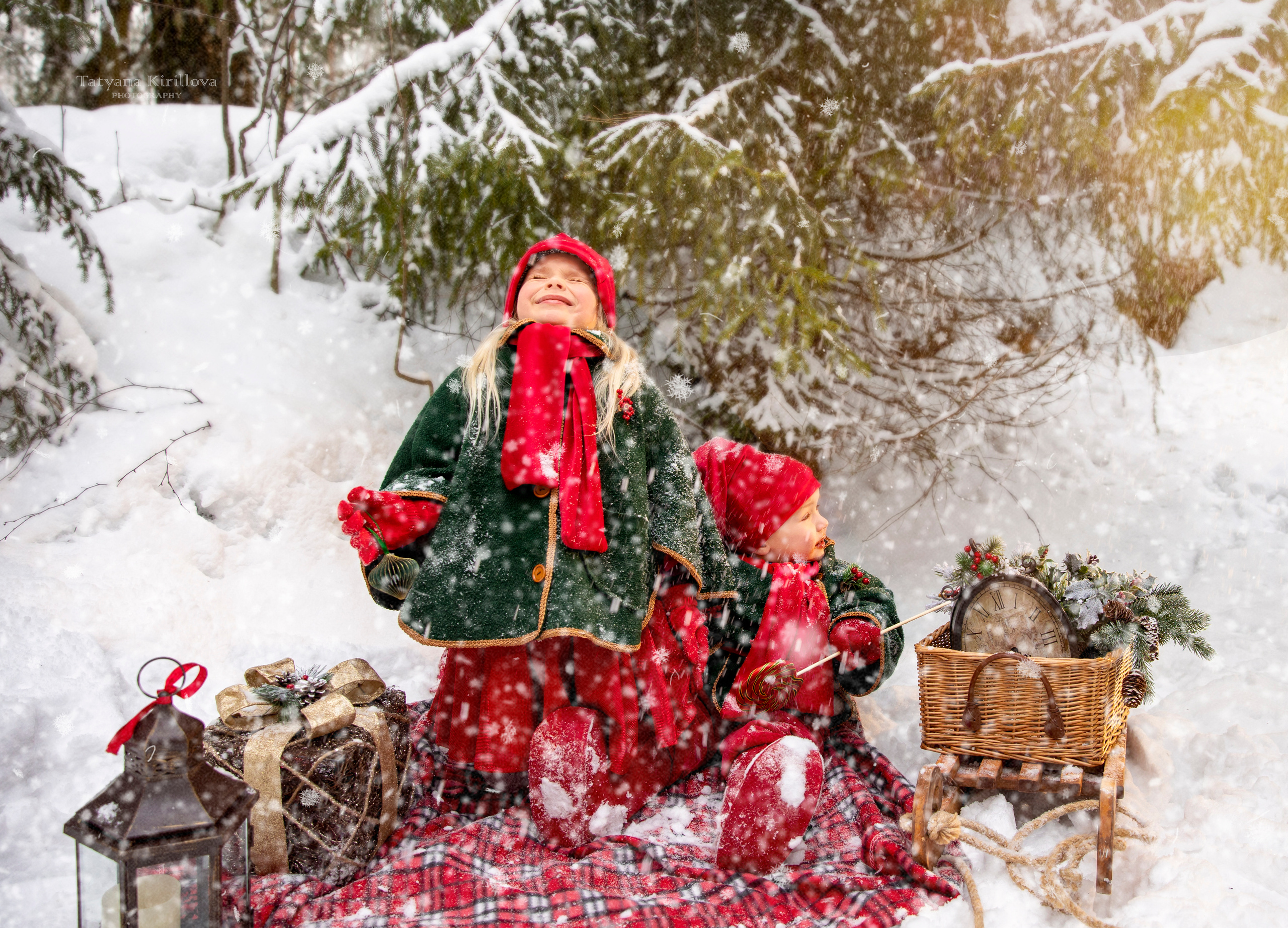ФОТОПРОЕКТ «ГНОМЫ». Фотограф — Татьяна Кириллова, г. Санкт-Петербург