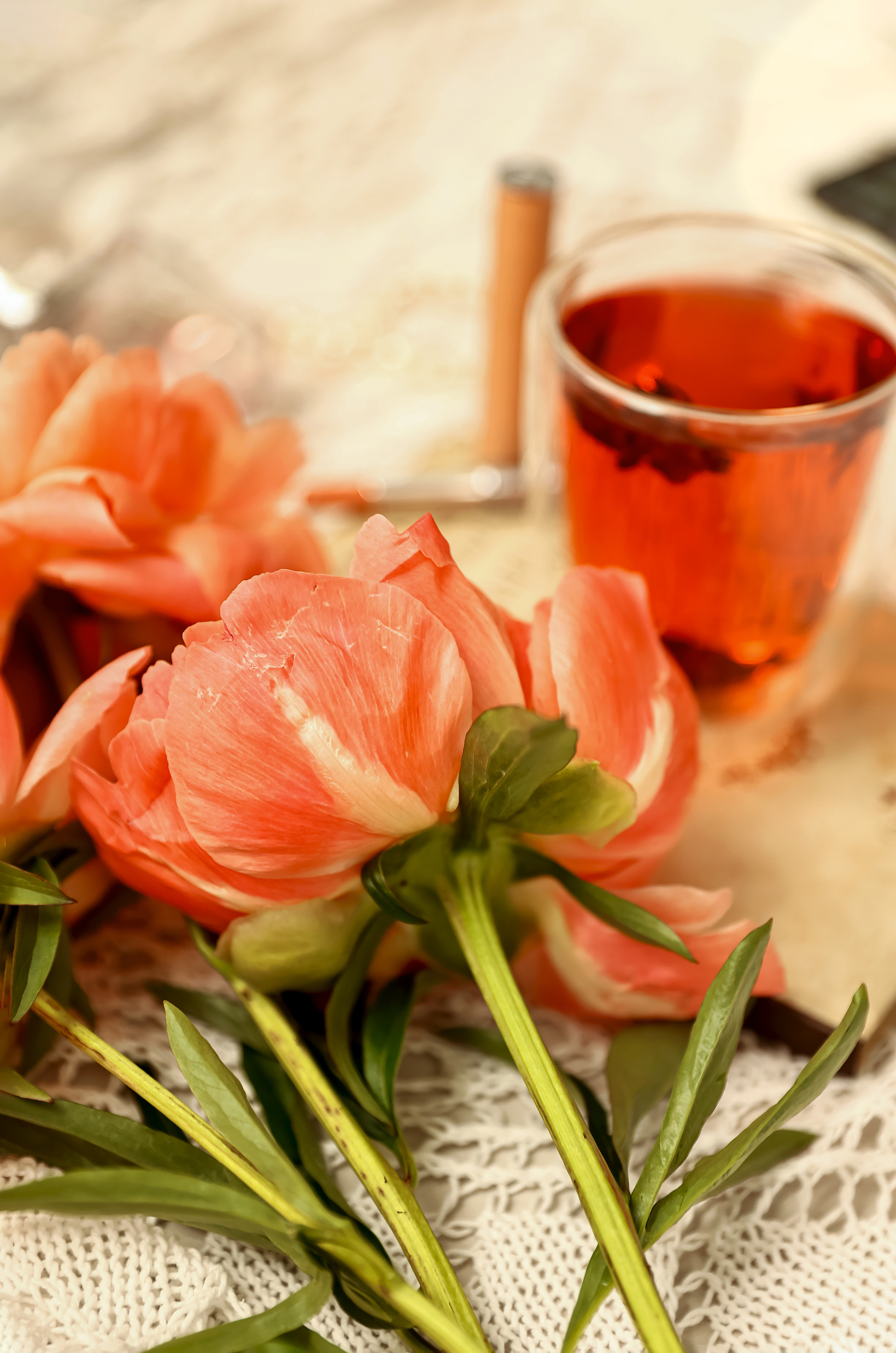 Предметная съемка, цветы, открытки. Фотограф — Татьяна Кириллова, г. Санкт-Петербург