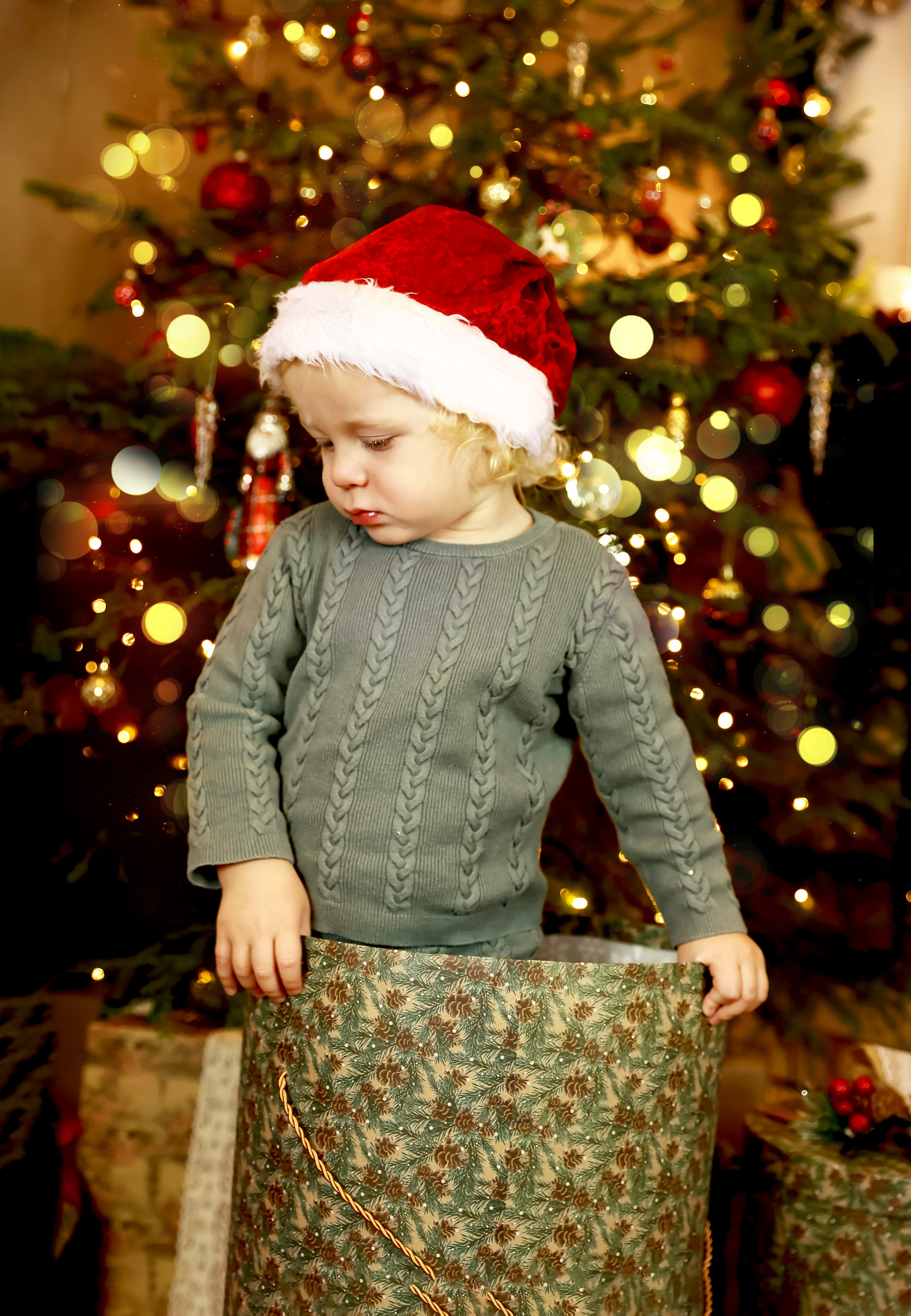 Новогодний фотопроект. Фотограф — Татьяна Кириллова, г. Санкт-Петербург