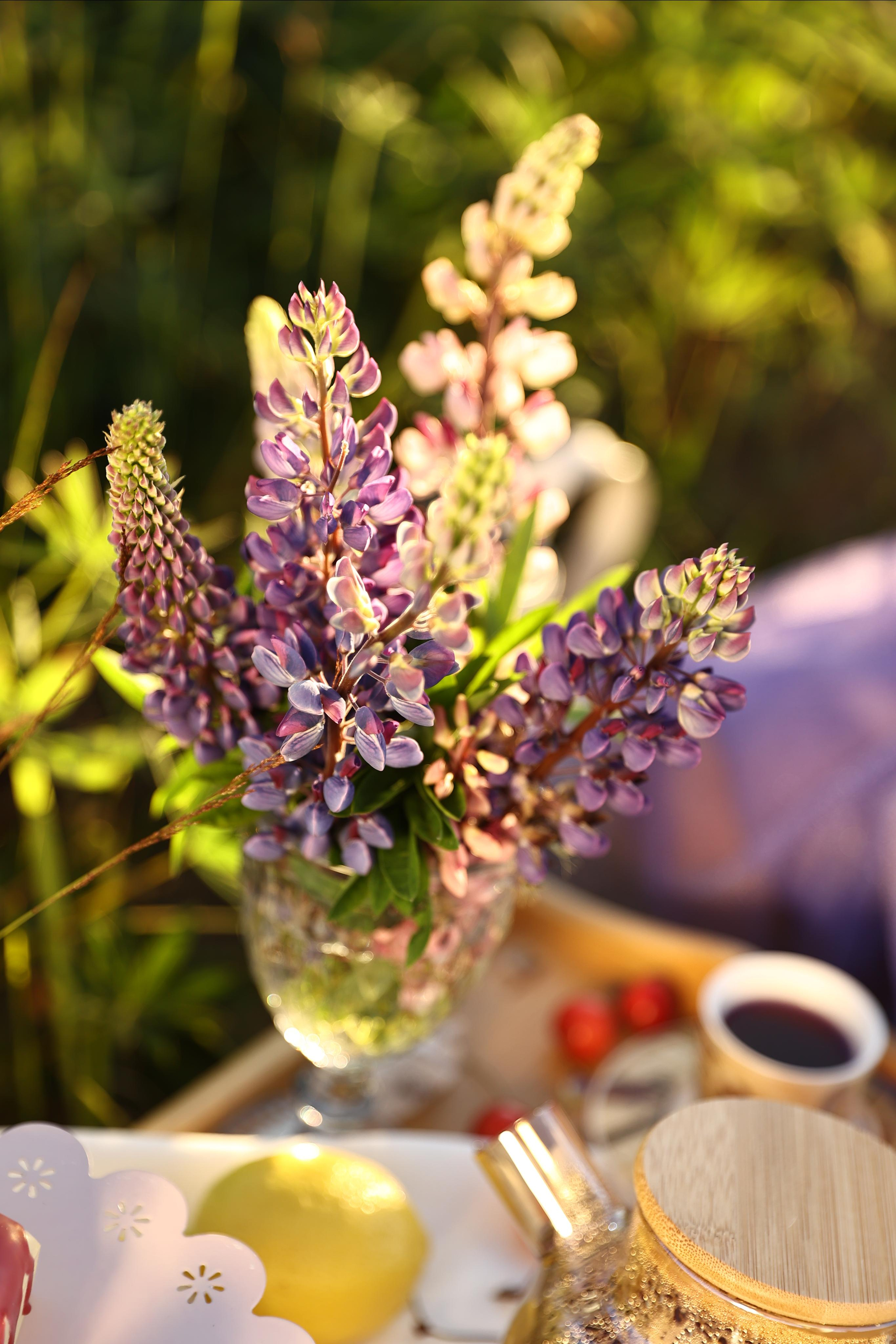 Предметная съемка, цветы, открытки. Фотограф — Татьяна Кириллова, г. Санкт-Петербург