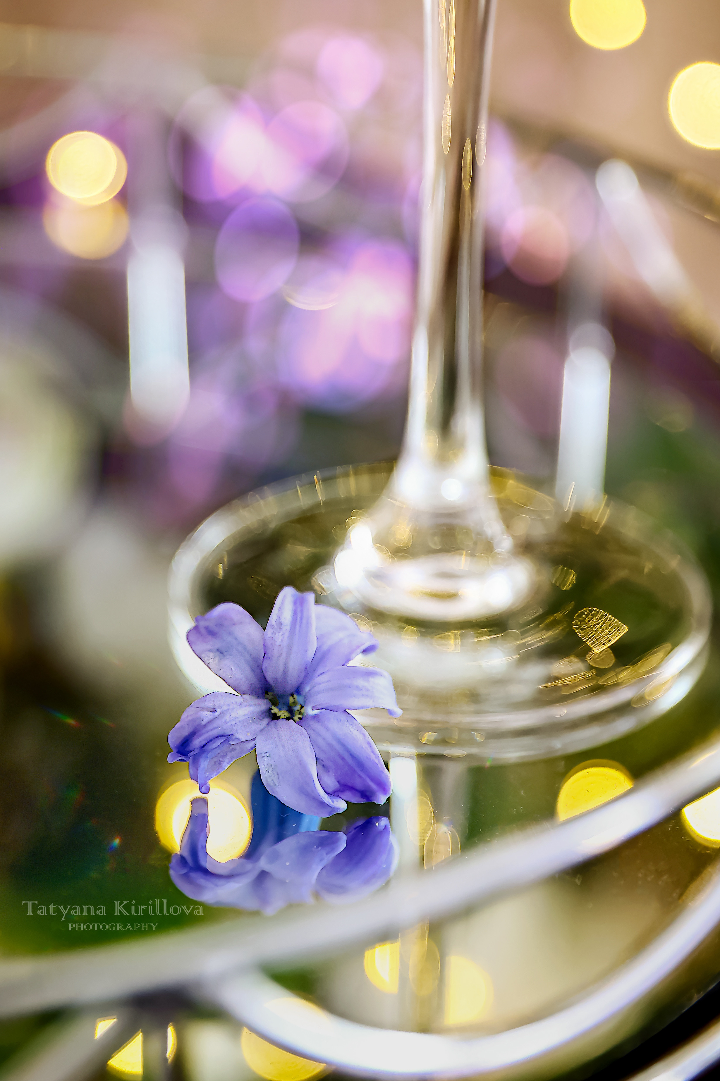 Предметная съемка, цветы, открытки. Фотограф — Татьяна Кириллова, г. Санкт-Петербург