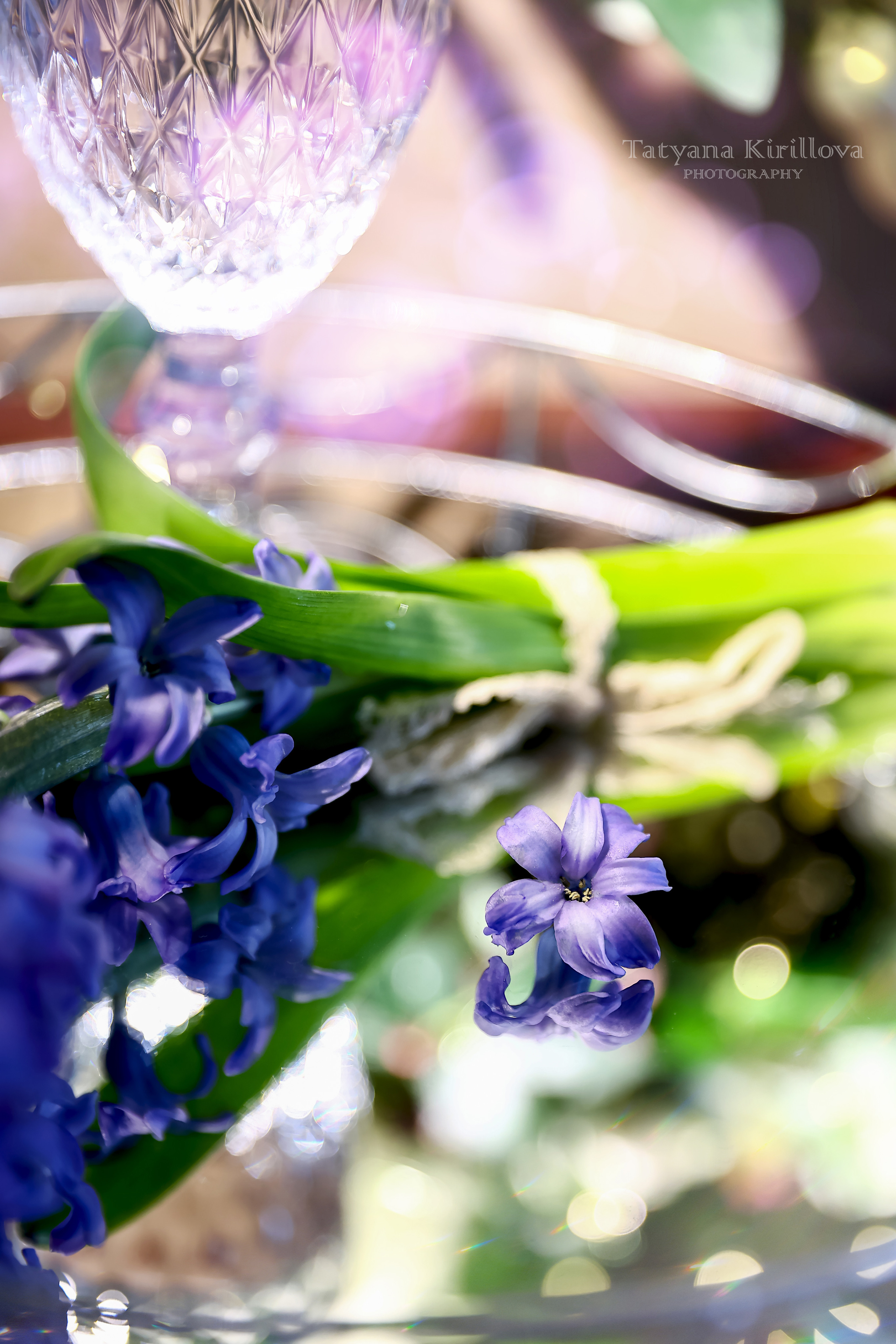 Предметная съемка, цветы, открытки. Фотограф — Татьяна Кириллова, г. Санкт-Петербург