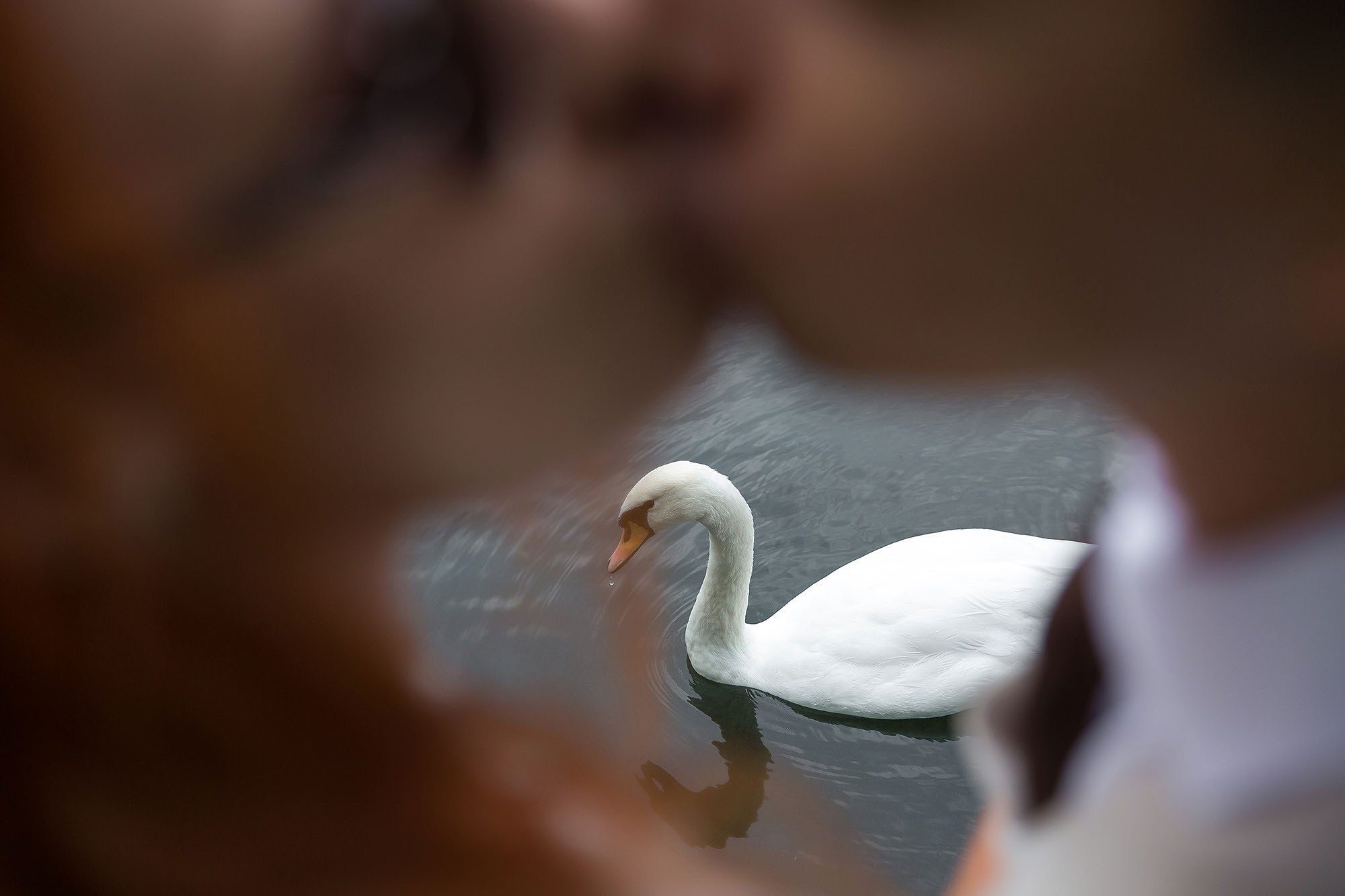 Прогулка, фотосессия жениха и невесты. Свадебная съемка. Фотограф в Москве Валерий Боцман