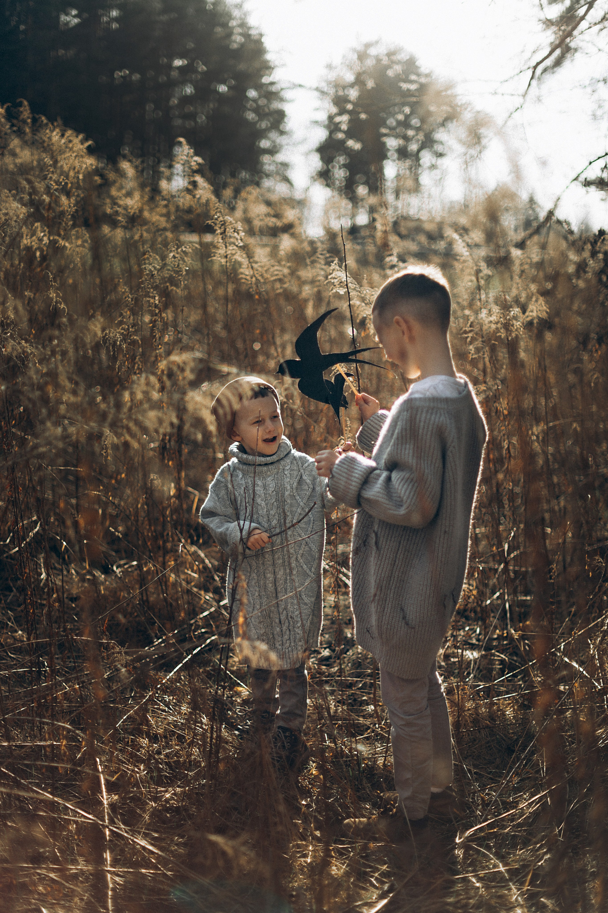Птицы-самолеты. Репортажный и детский фотограф в Минске