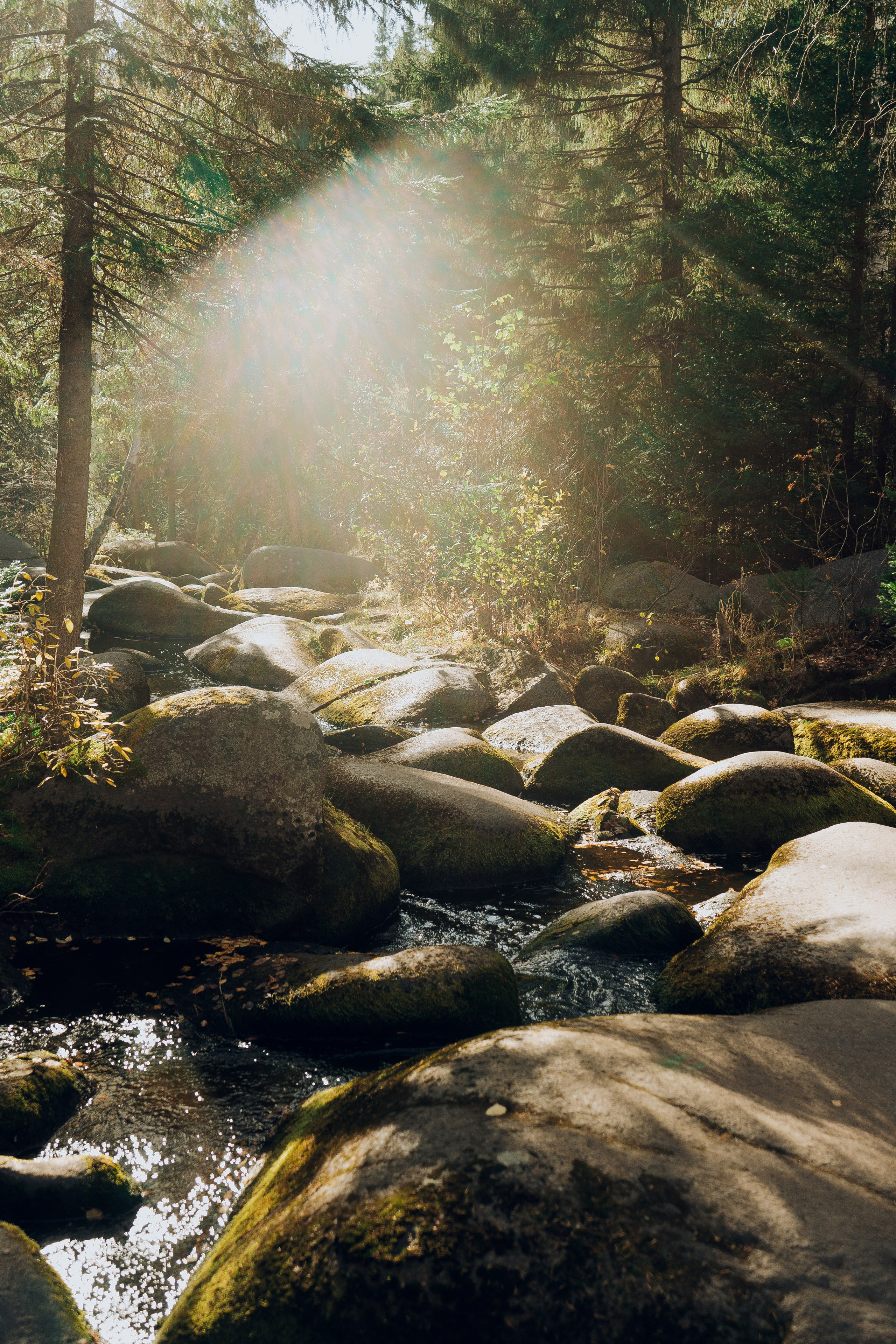 Поход на Соколиный камень. Денис Марков — фотограф в Екатеринбурге