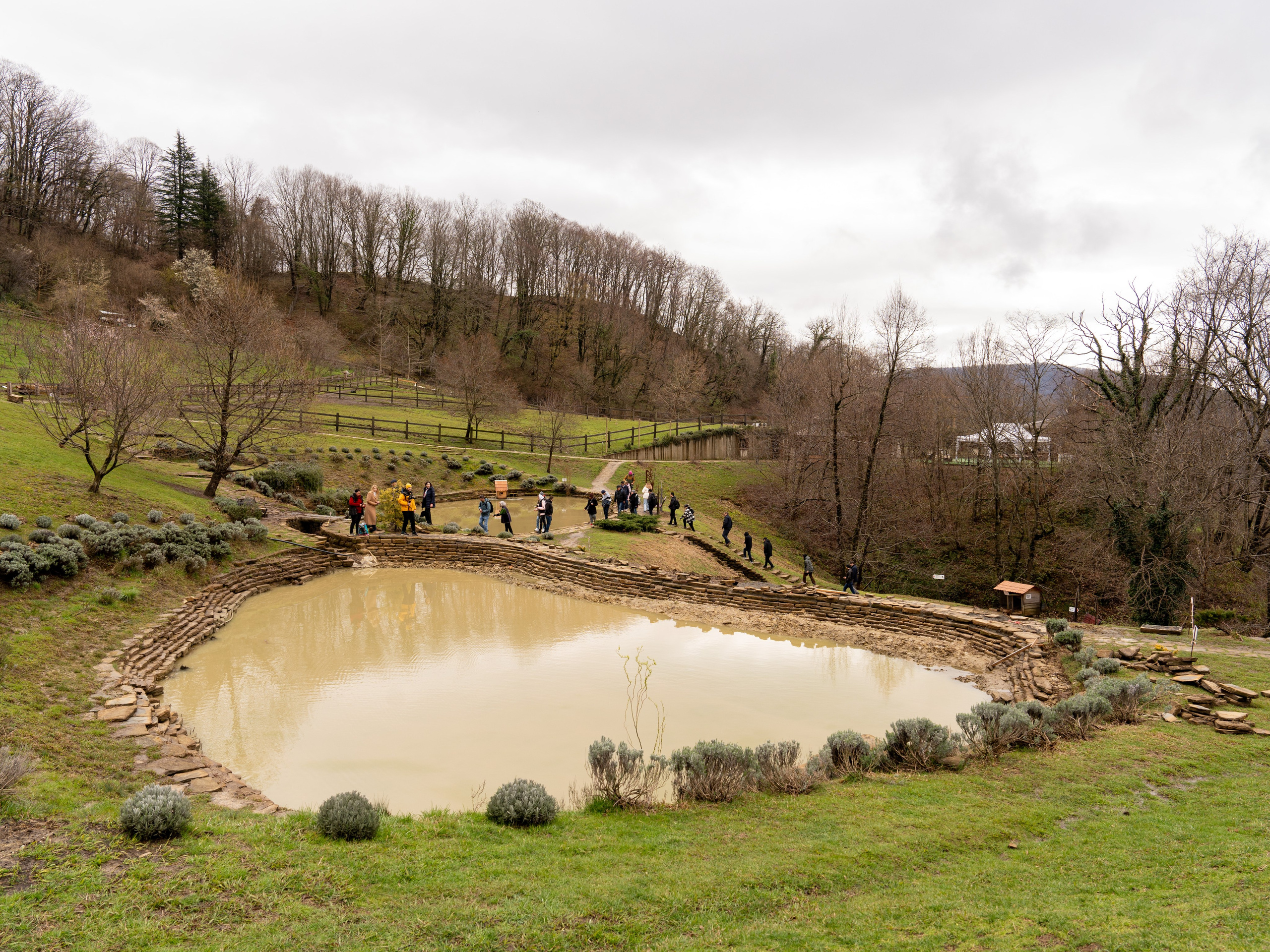MICE мероприятие на ферме Экзархо. Репортажный фотограф в Красной Поляне и Сочи Павлюченко Екатерина