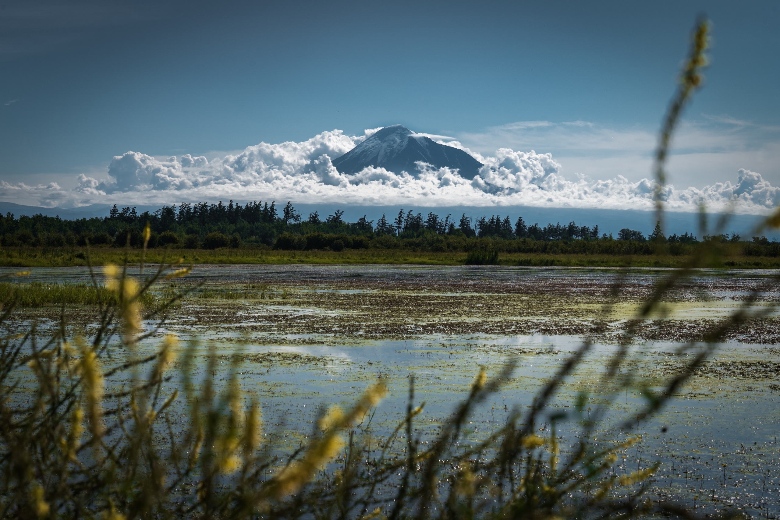 Путешествия и пейзаж. Репортажный фотограф в Красной Поляне и Сочи Павлюченко Екатерина