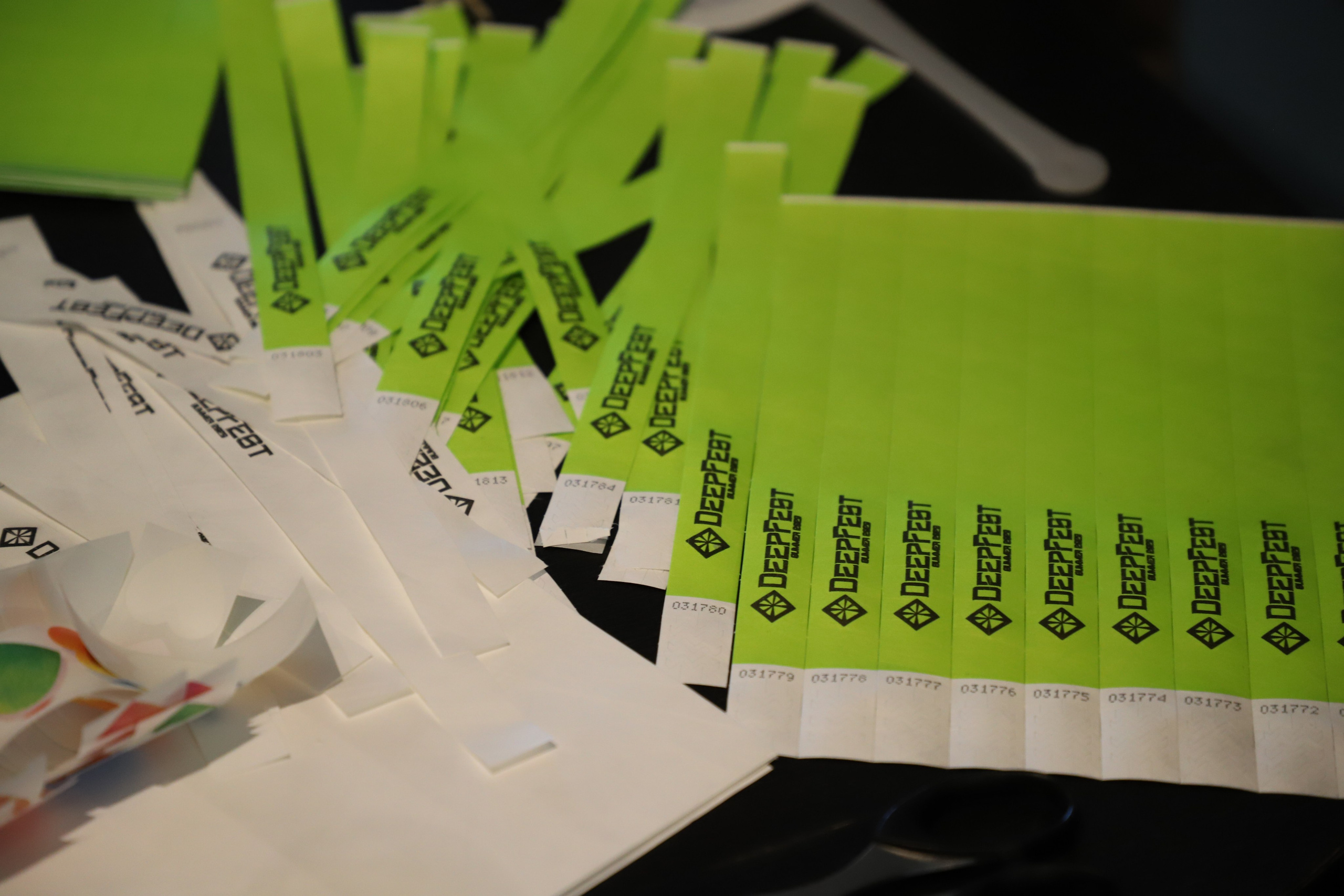 DEEPFEST SUMMER 2023. K-pop (и не только) фотограф в Москве Светлана Полякова