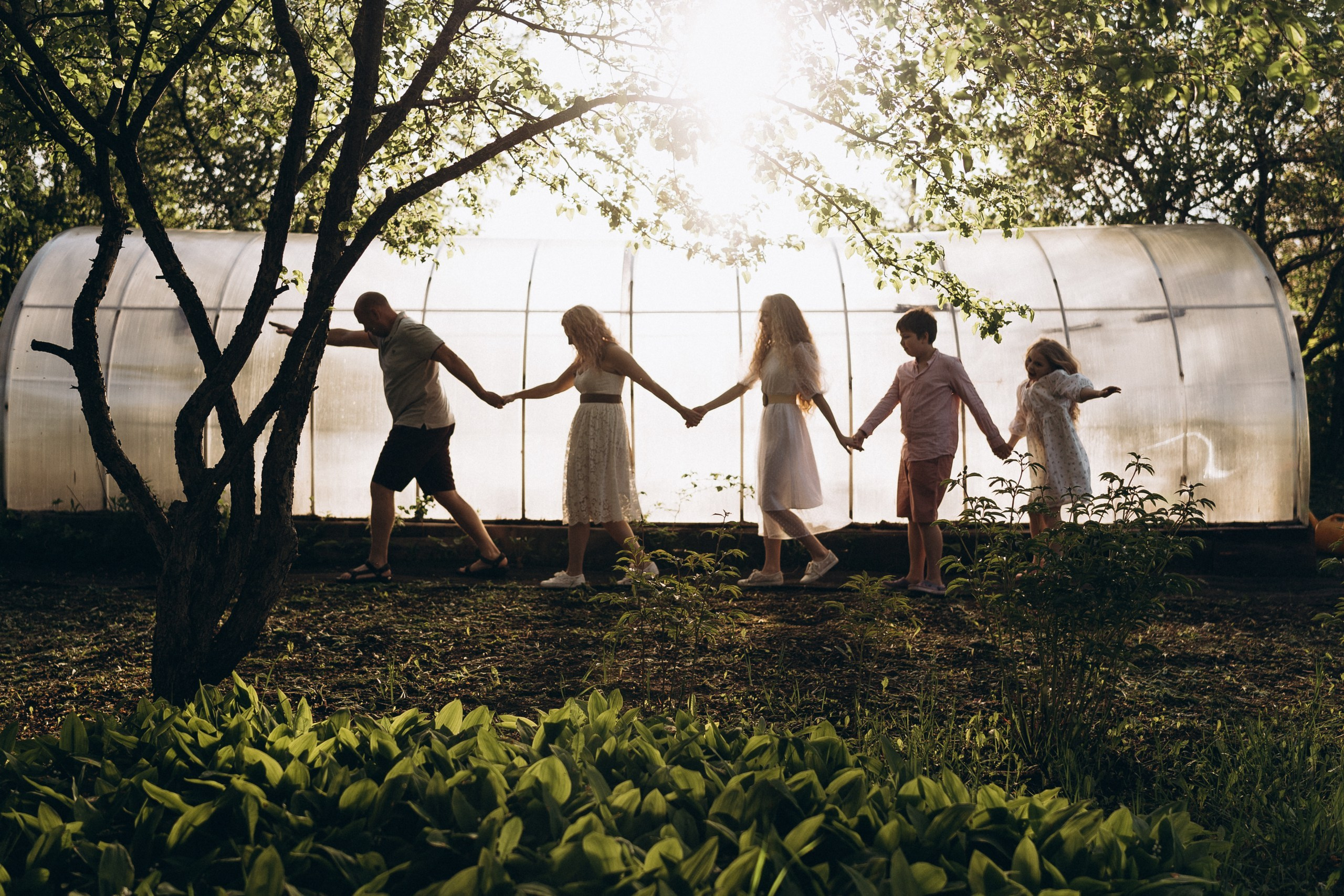 Чай с чабрецом на даче