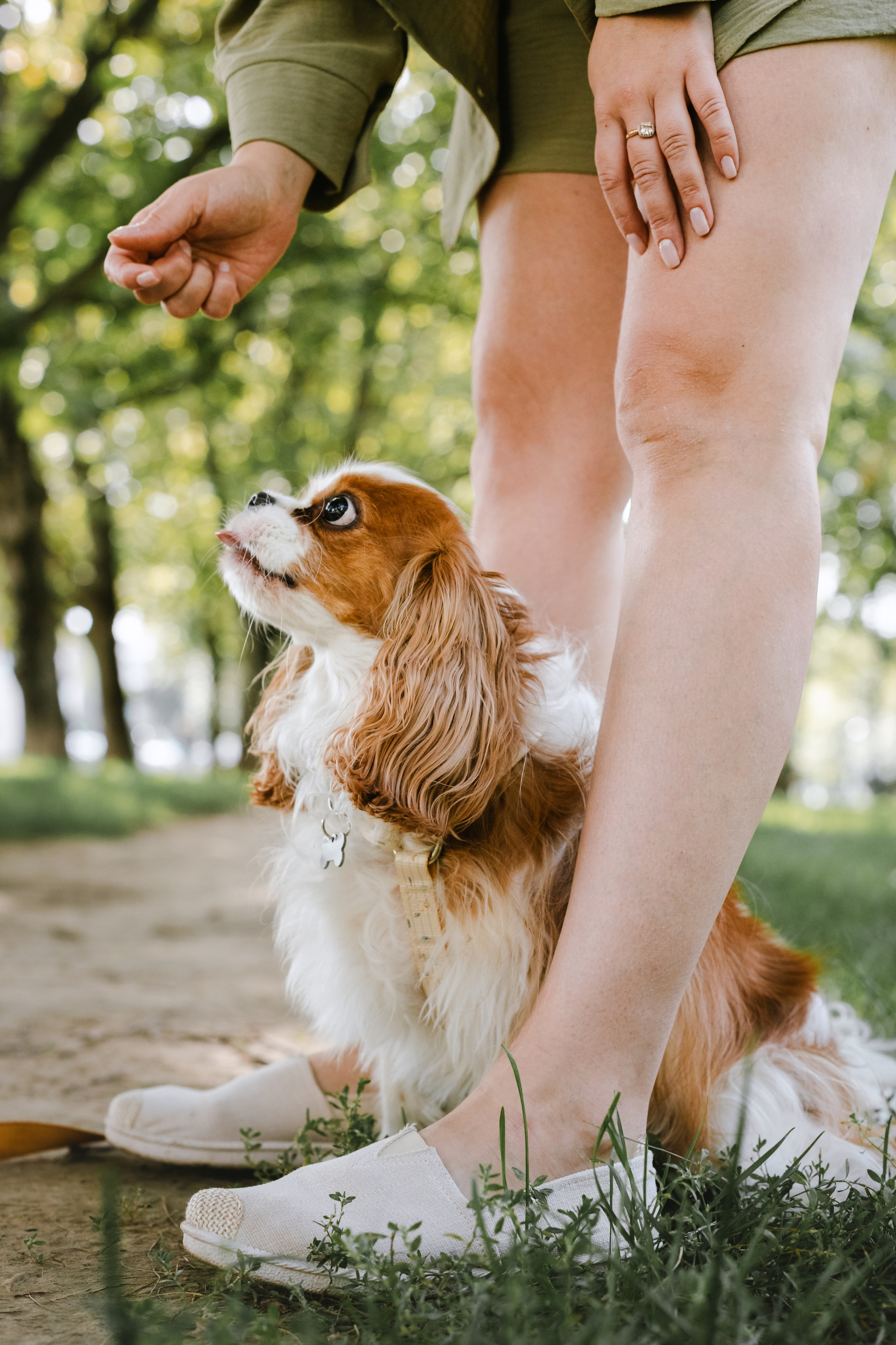 Фотопрогулка на бульваре. Фотограф-анималист Татьяна Степанова