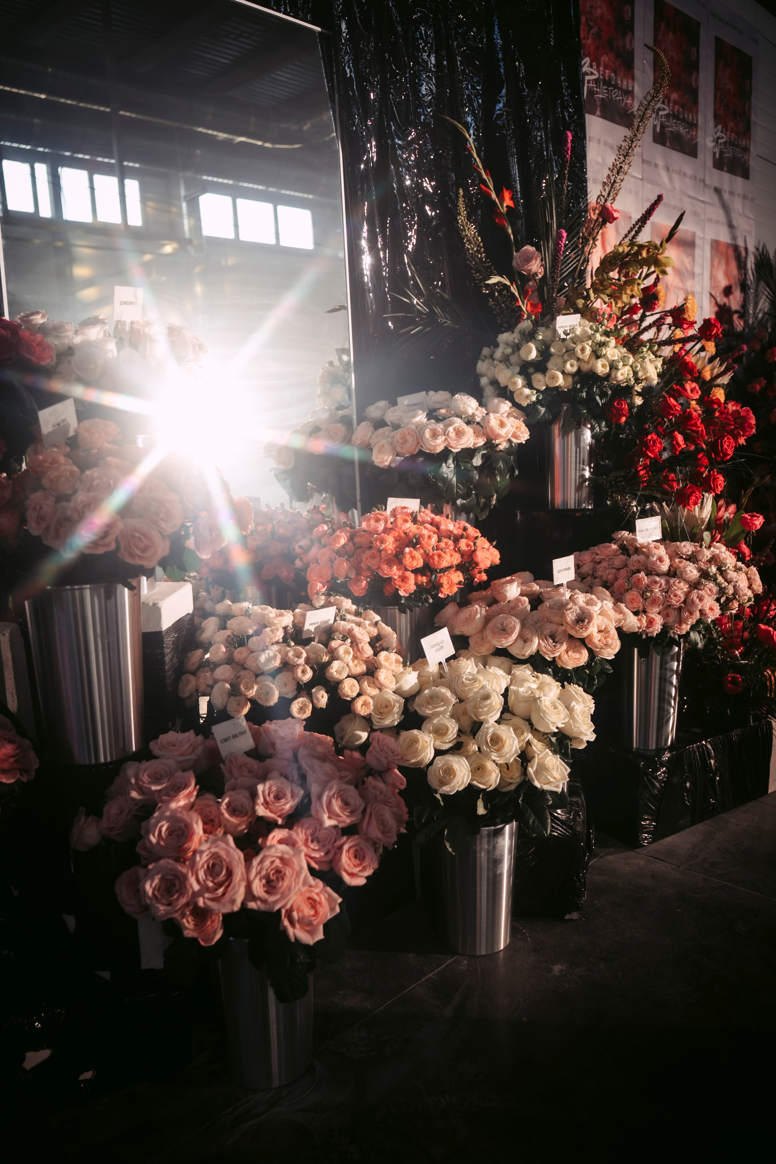 Цветочный андеграунд. Главная