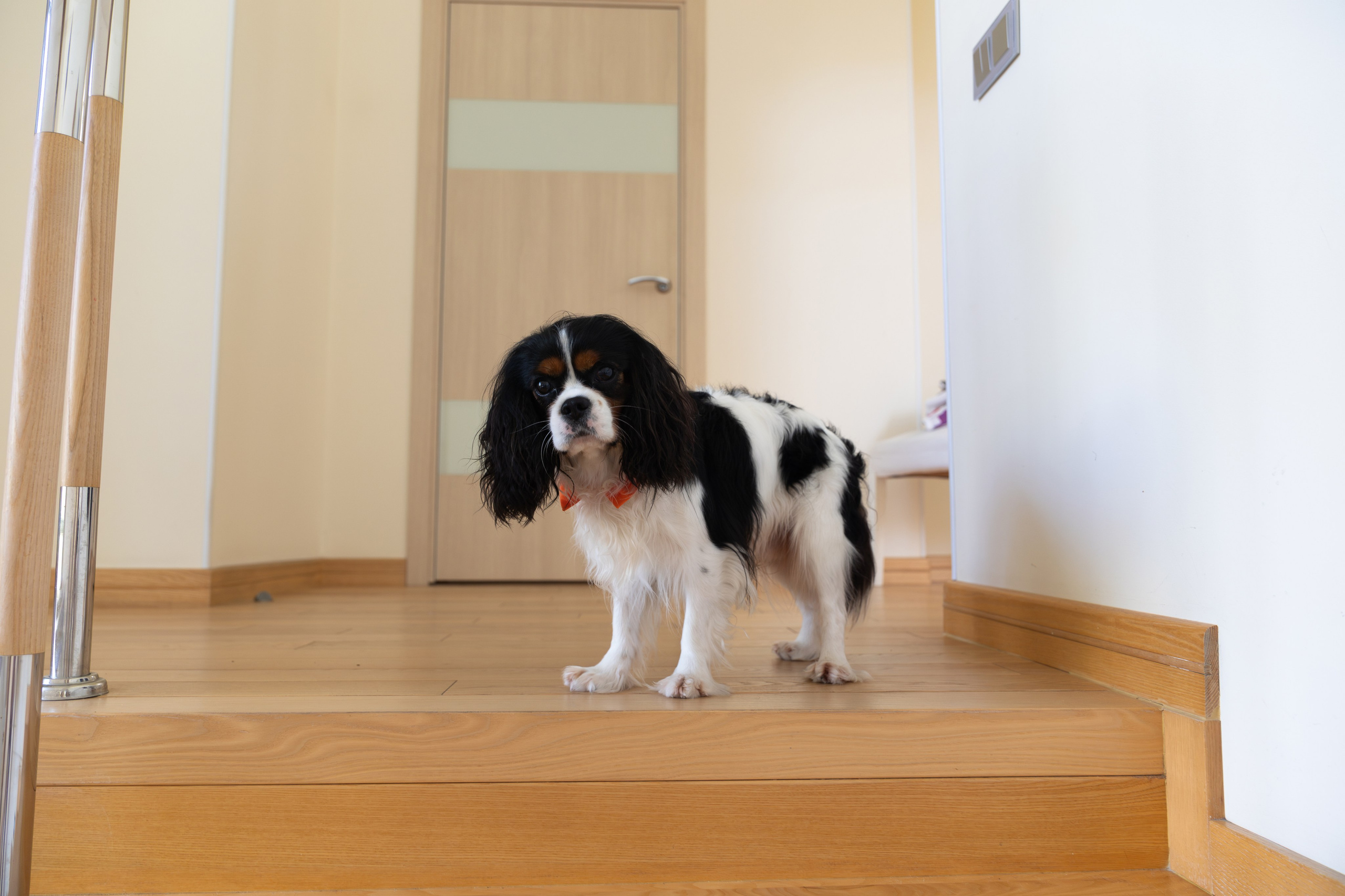 14 сентября 24г. Свадебный фотограф  Пятигорск, Сочи, Ессентуки, Кисловодск Александр