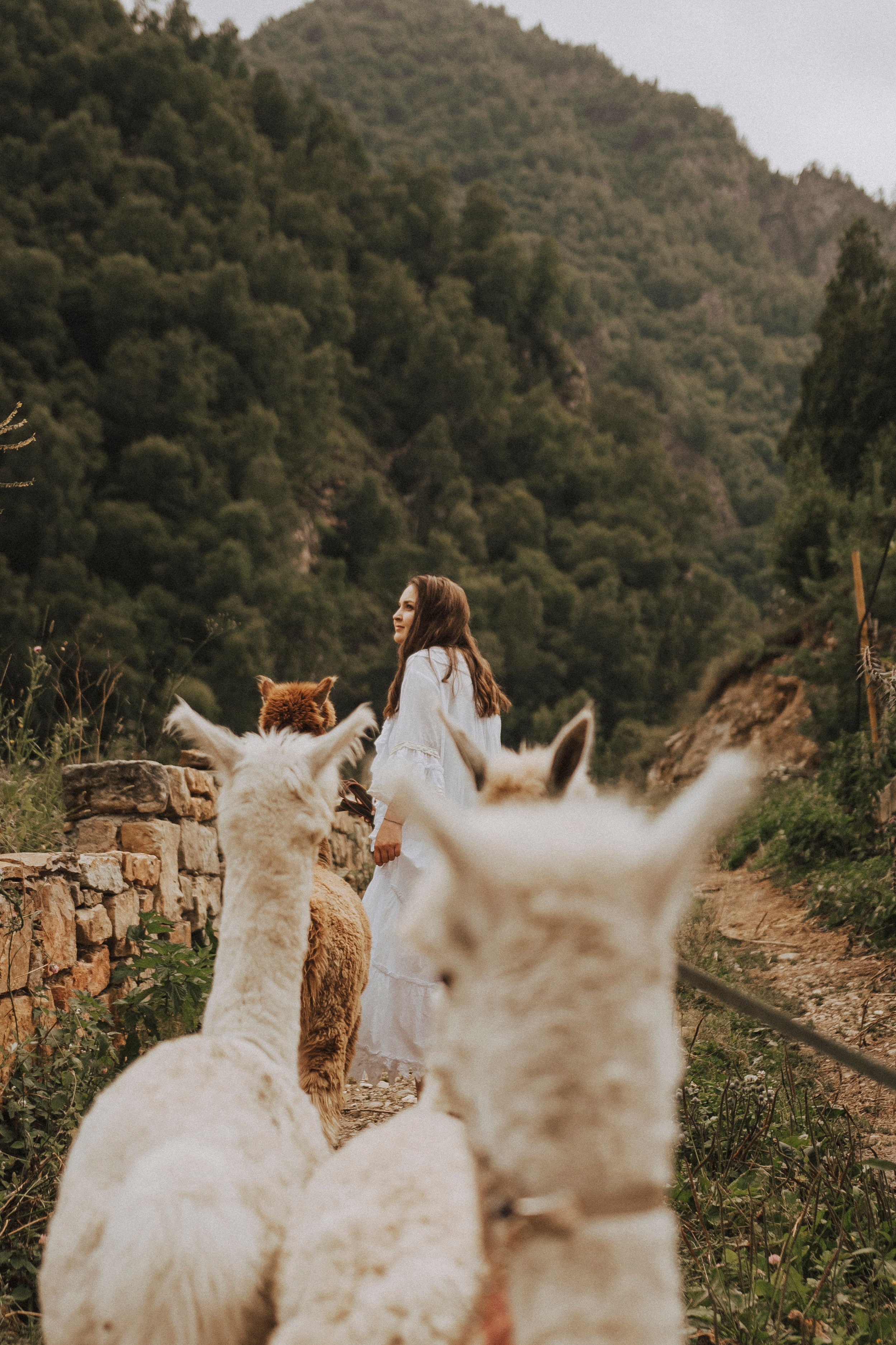 TIGRAN & VICTORIA | KISLOVODSK. Фотограф Настя Конник | Пятигорск | Эльбрус | Домбай | Архыз