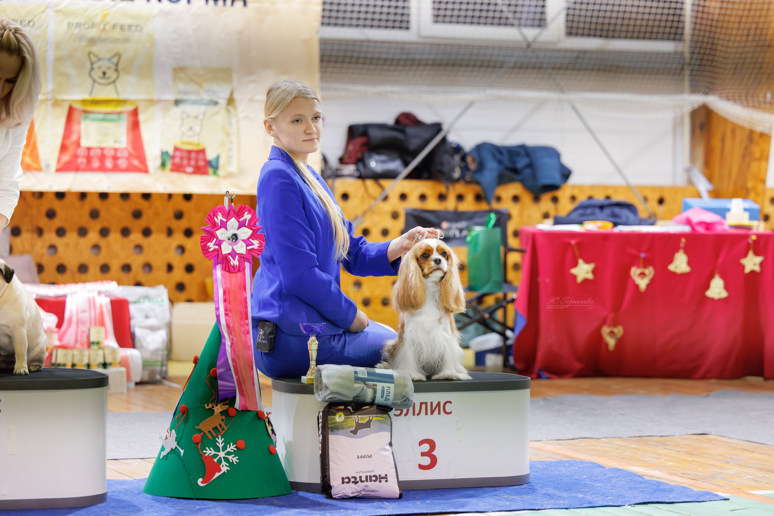 Тверь 21.12.2025. Фотограф-анималист Юлия Германика