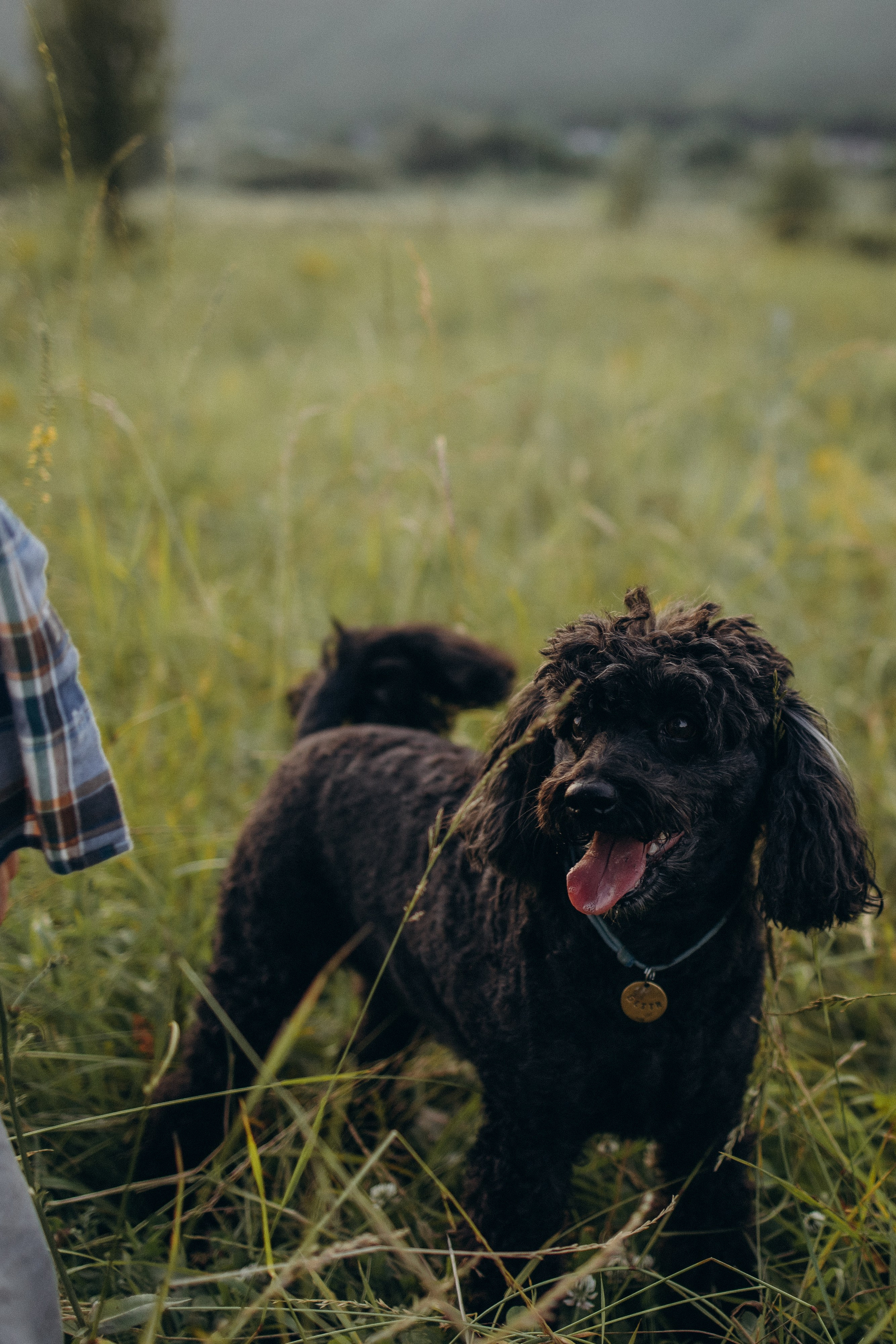 Саша, Тома и Марк. Juliashtondic. photo