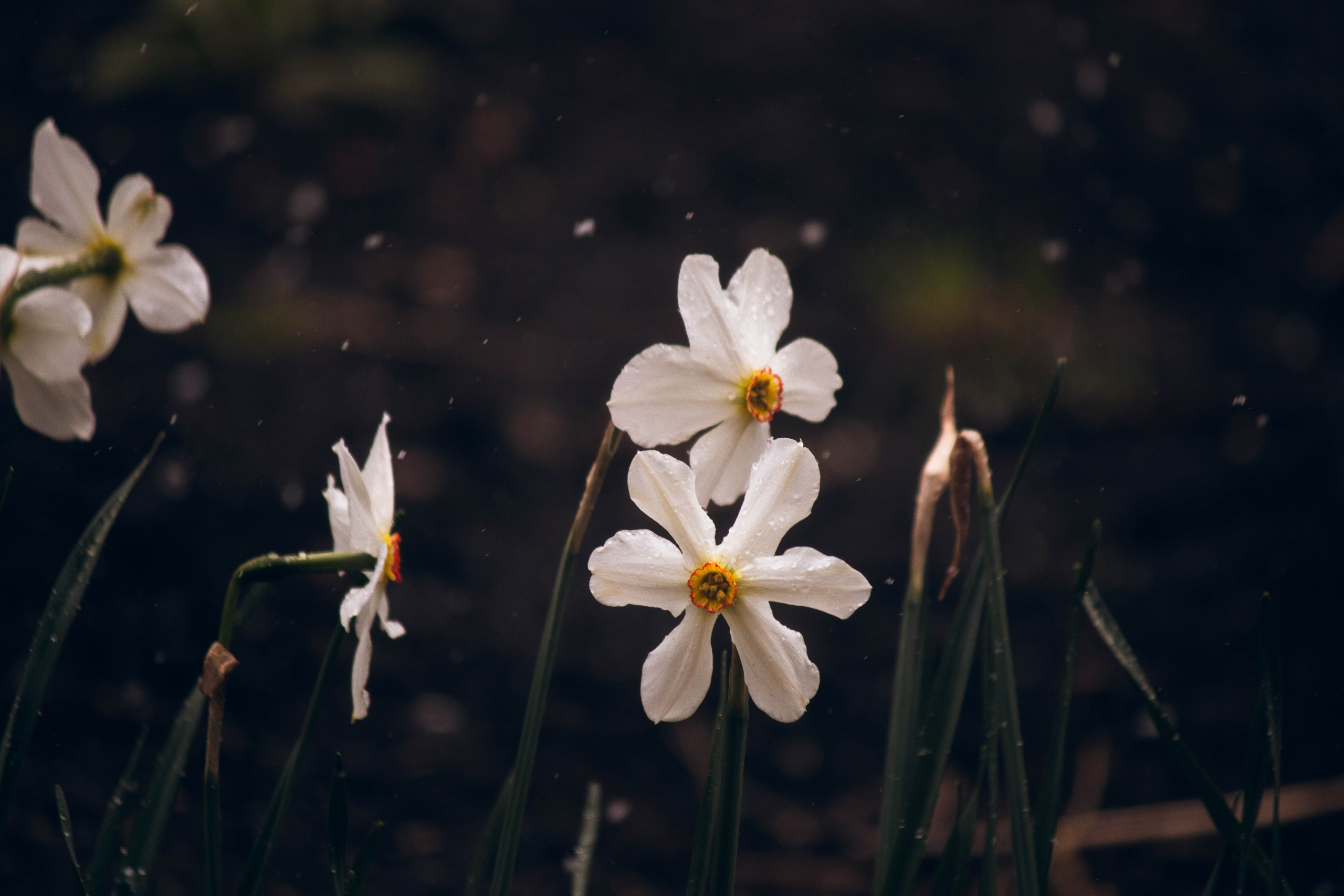 Сокольская гора. Фотограф и видеограф в Бугульме Аня Трутнева