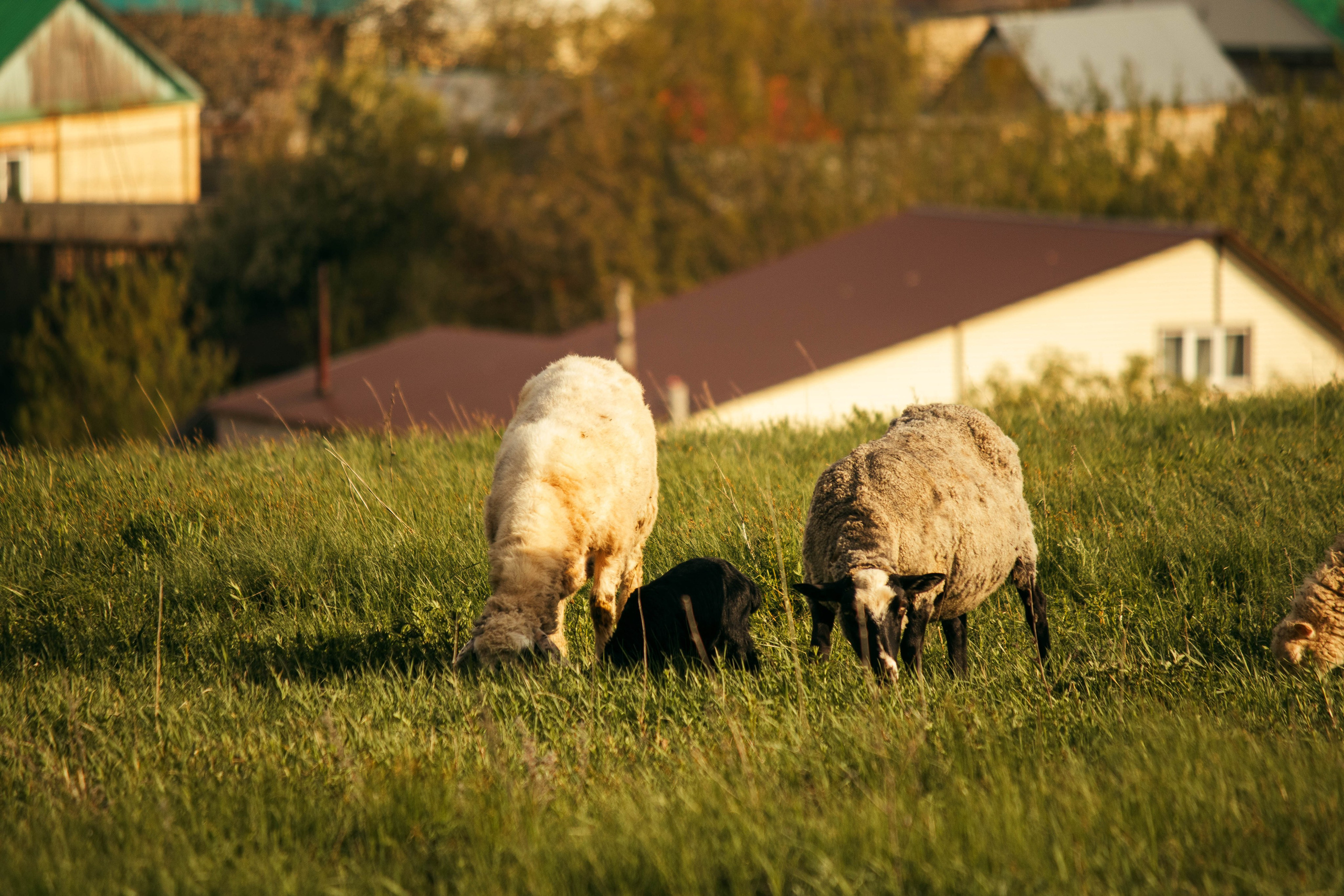 Сокольская гора. Фотограф и видеограф в Бугульме Аня Трутнева