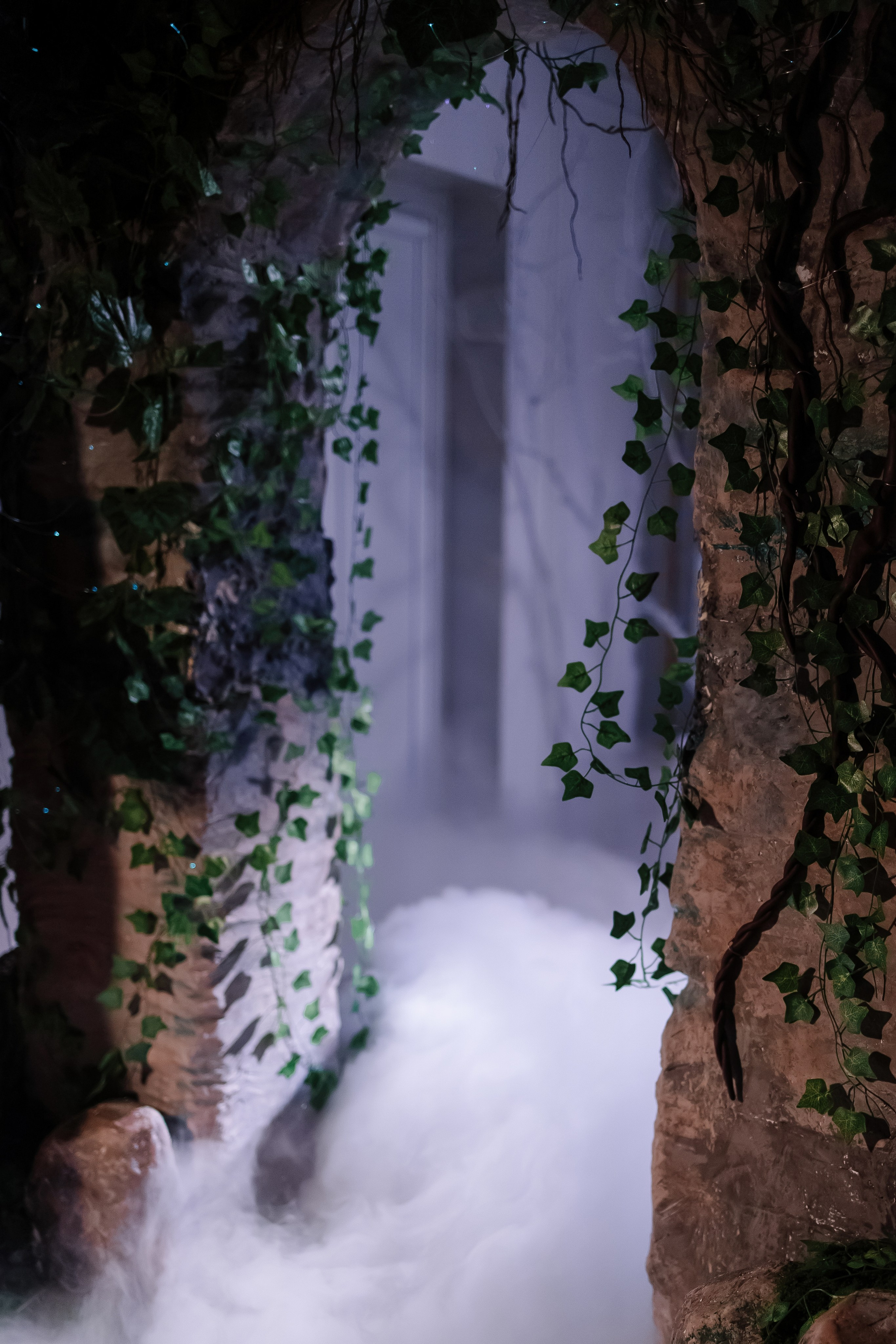 Шоу тортов 2. Свадебный фотограф