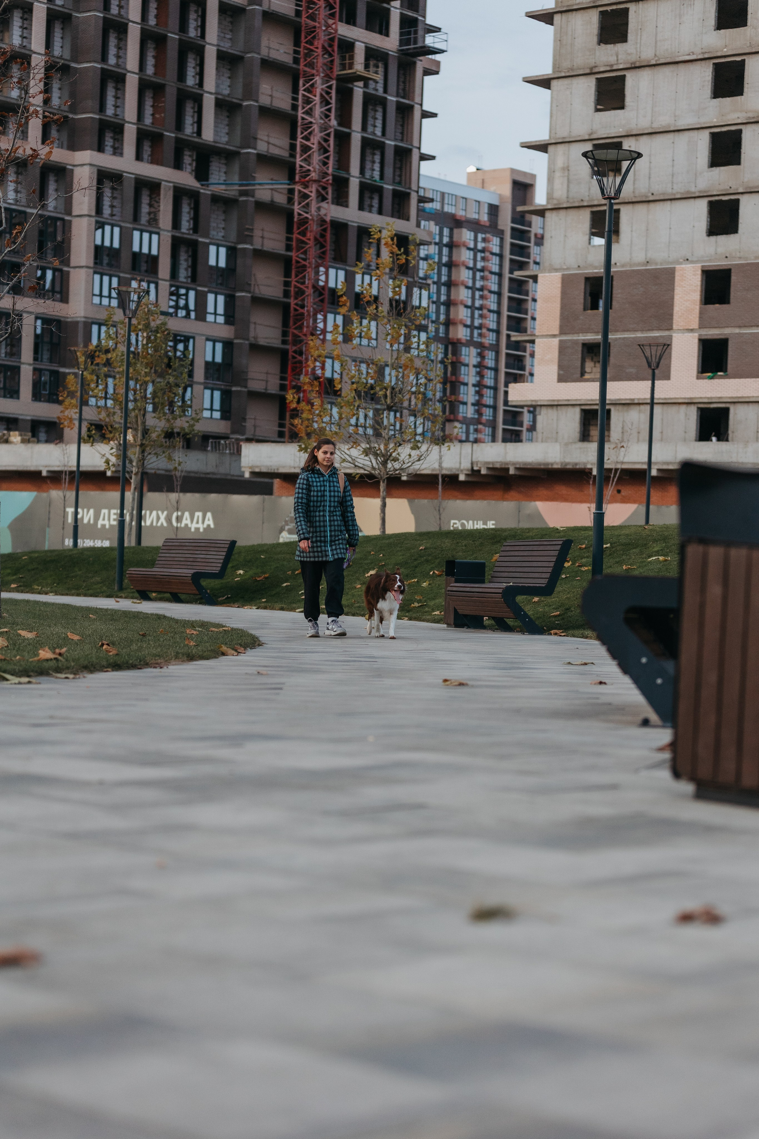 Маша и Тори. Фотограф — анималист Светлана Кысса|фотограф собак в Краснодаре и Нижнем Новгороде