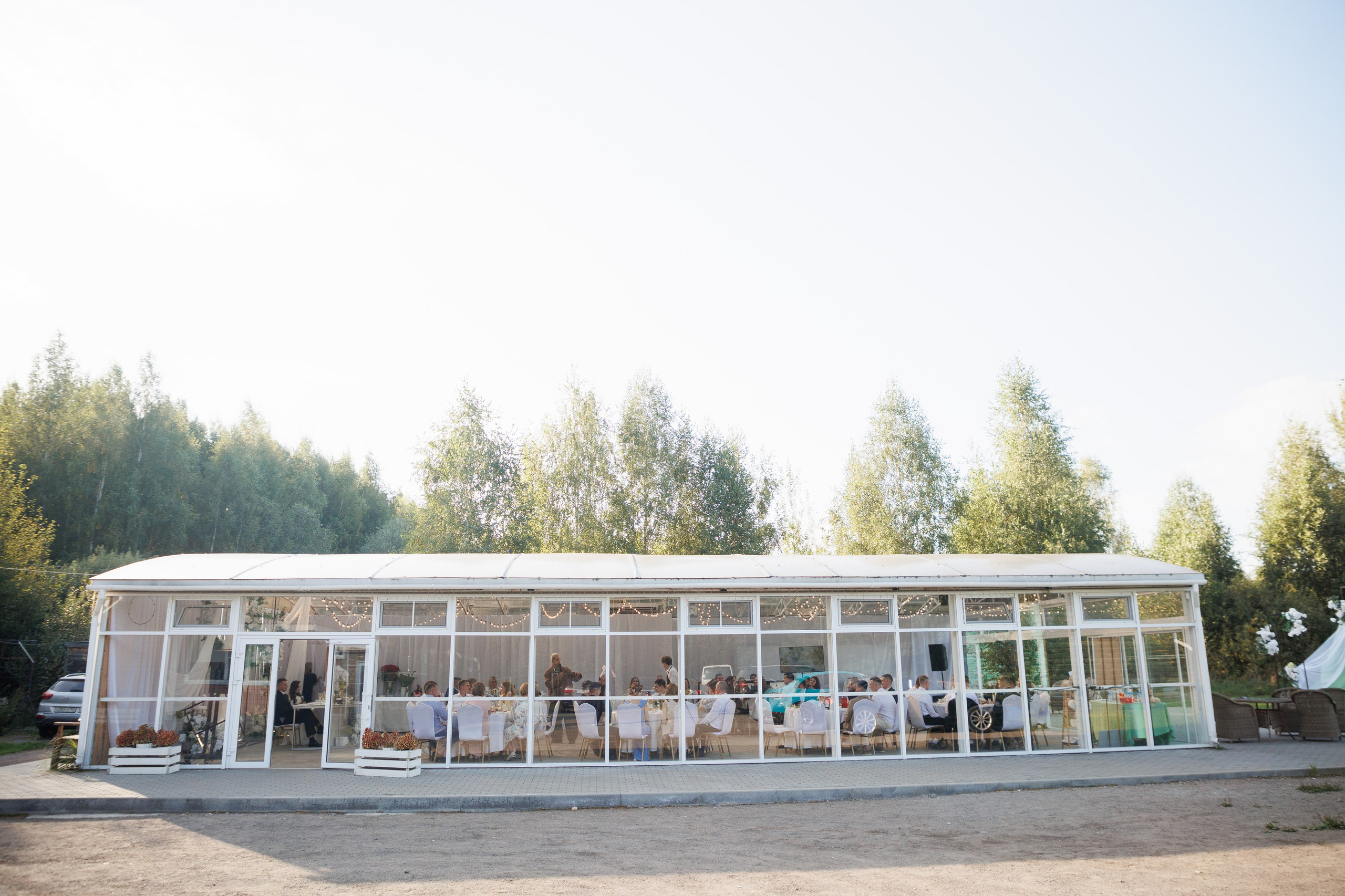 Сентябрь 2025, Белый лис, Выкса. Фотограф городских и семейных событий в Нижнем Новгороде Артем Карпухин