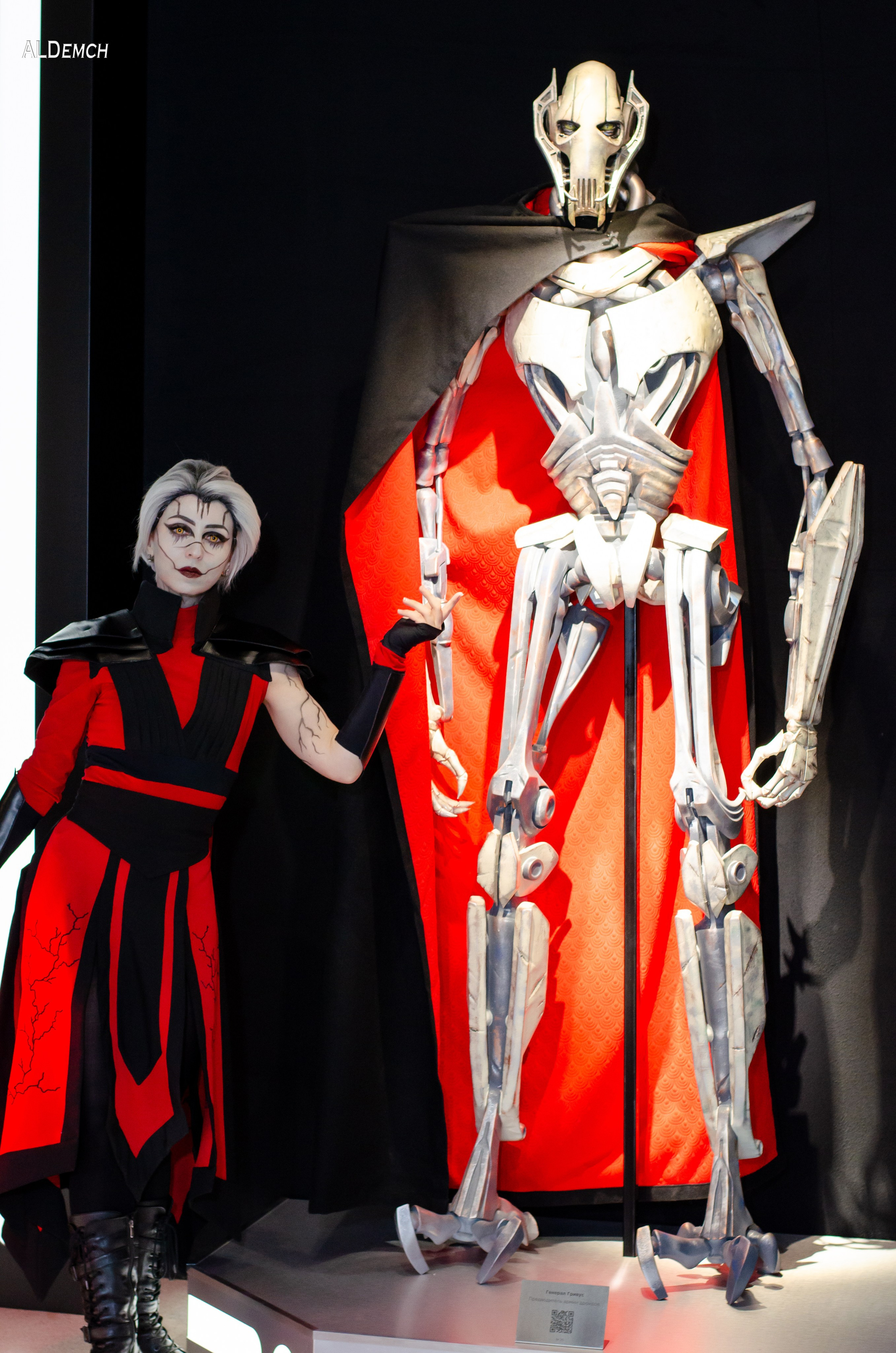 Звёздные войны картинки персонажей и косплей фото в Москве