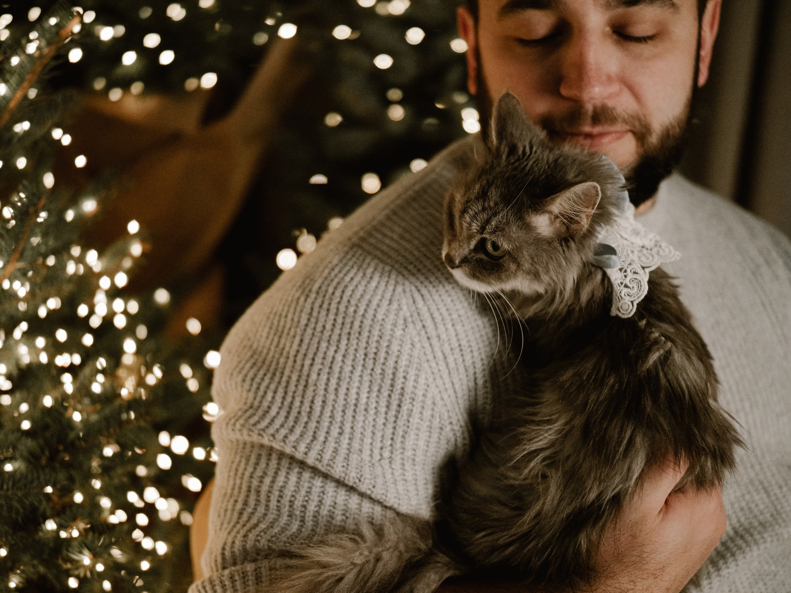 Mrrrr christmas. Фотограф Рязань. Семейный Свадебный фотограф