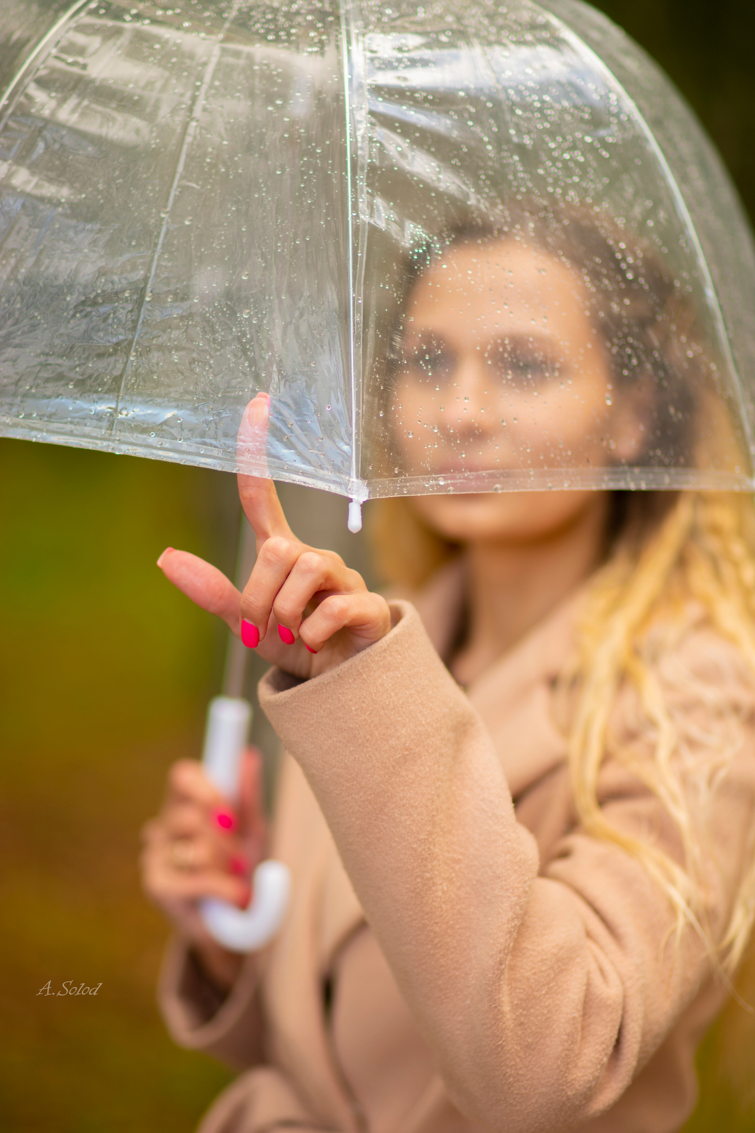 Осенние этюды. Фотограф Андрей Солод