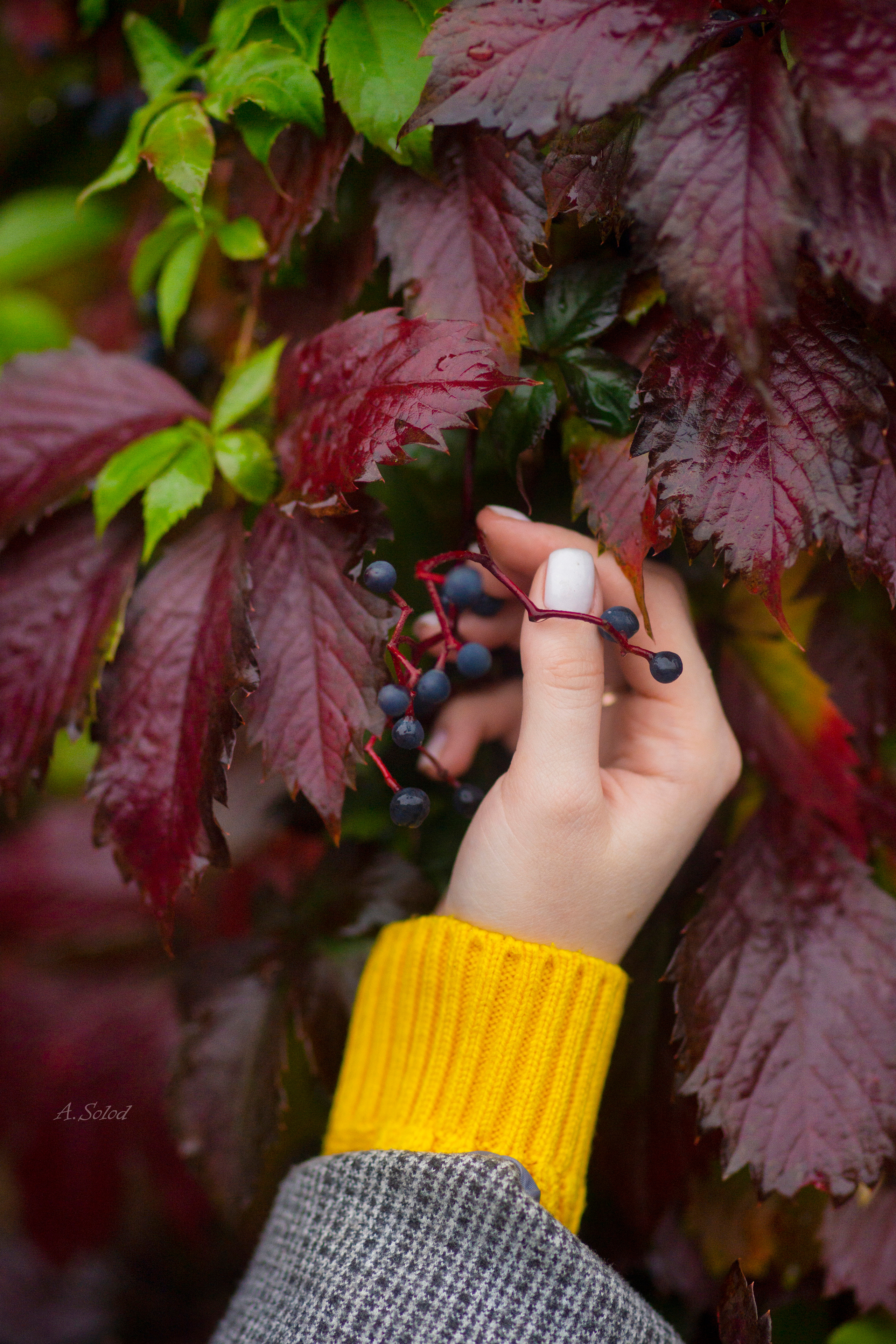 Конкурс ОСЕНЬ 2022