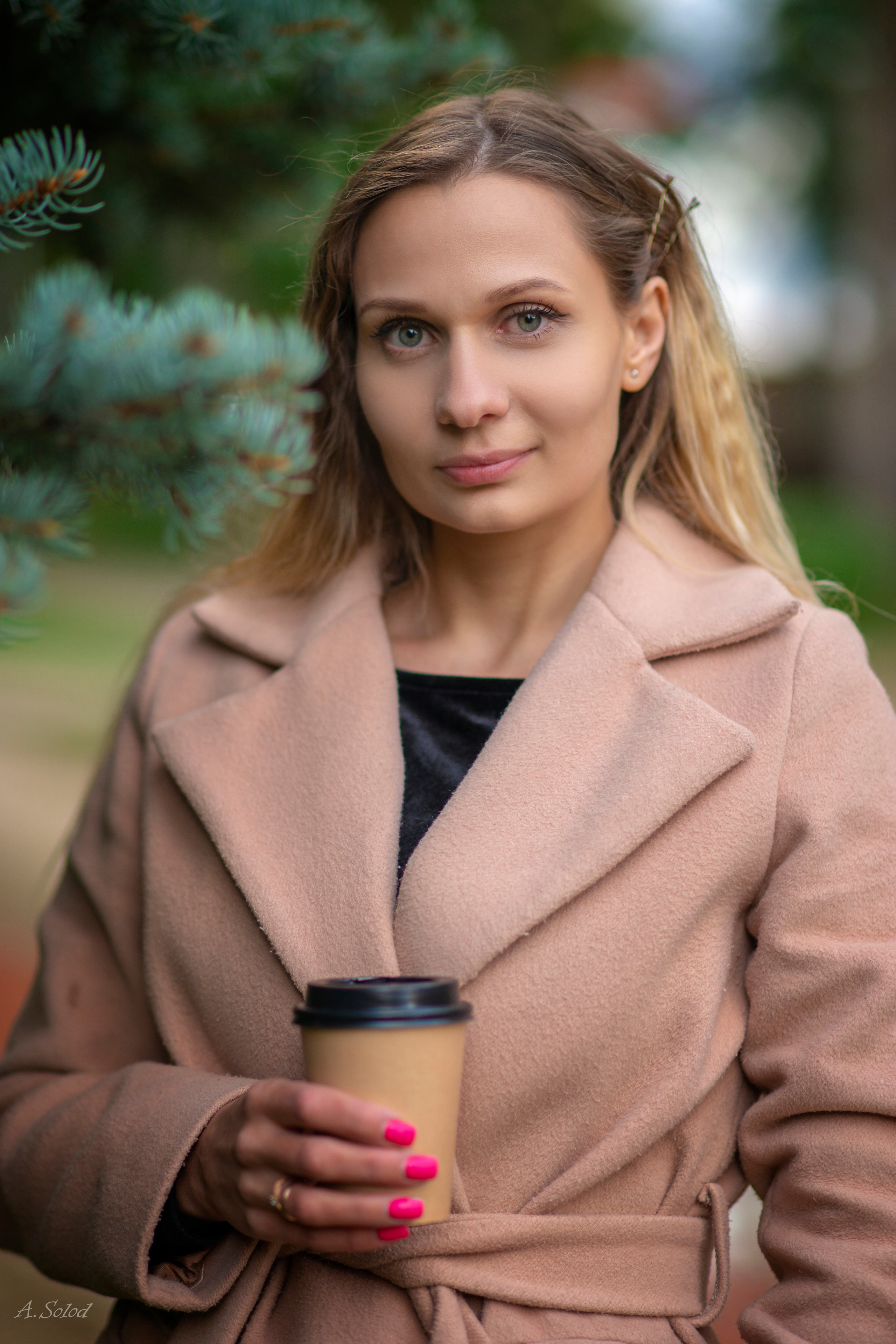 Осенние этюды. Фотограф Андрей Солод