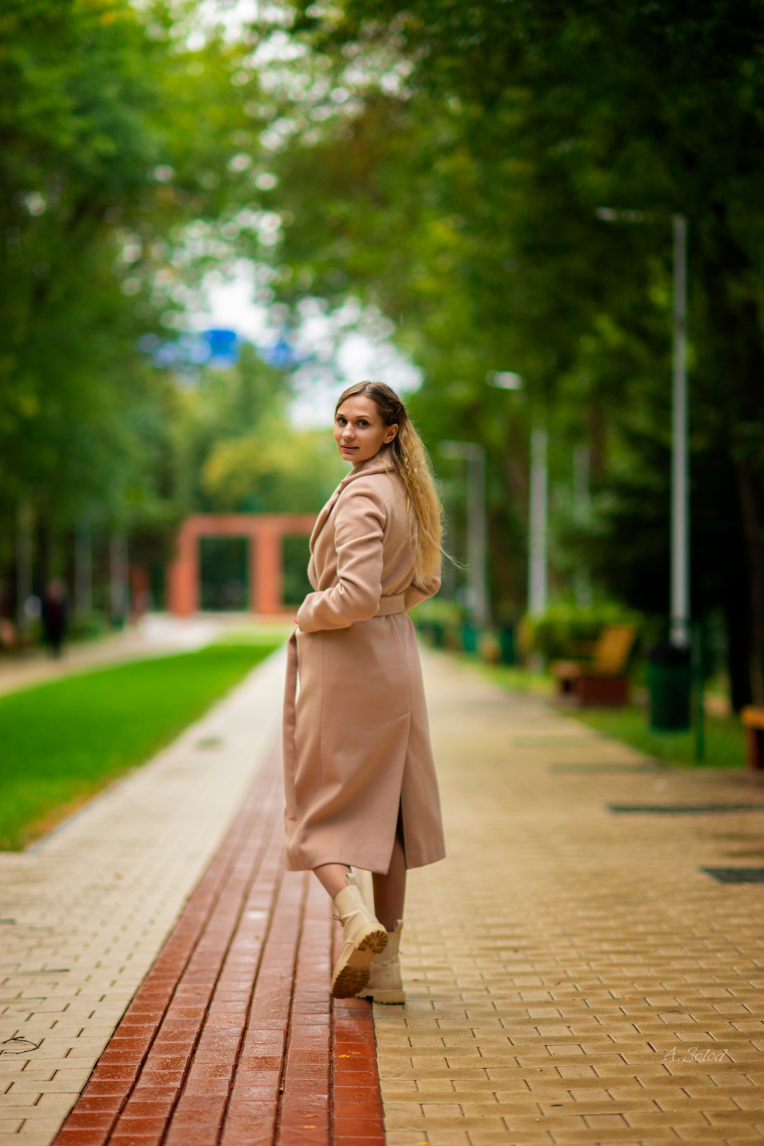 Осенние этюды. Фотограф Андрей Солод