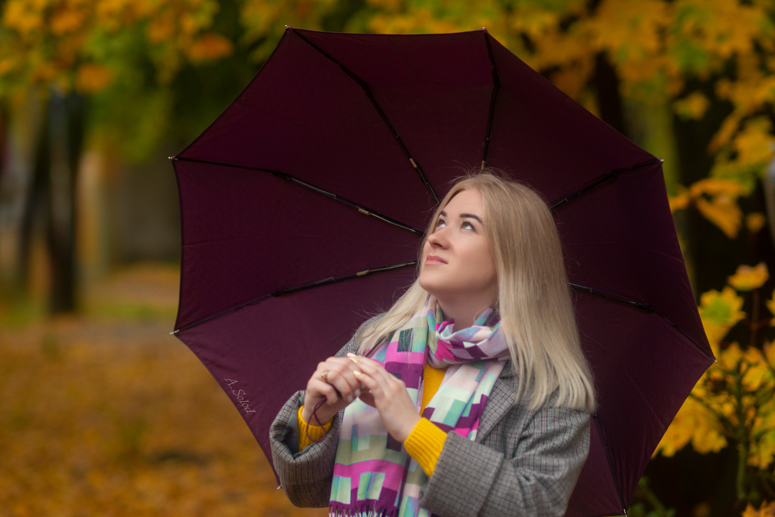 Конкурс ОСЕНЬ 2022