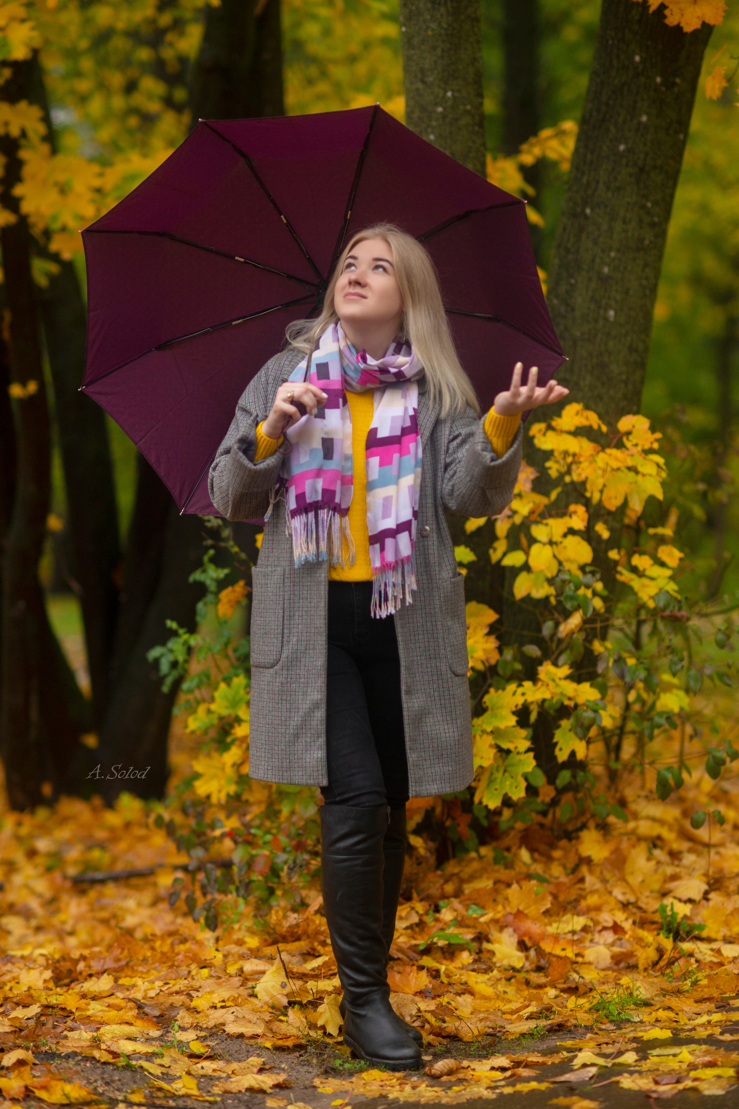 Конкурс ОСЕНЬ 2022