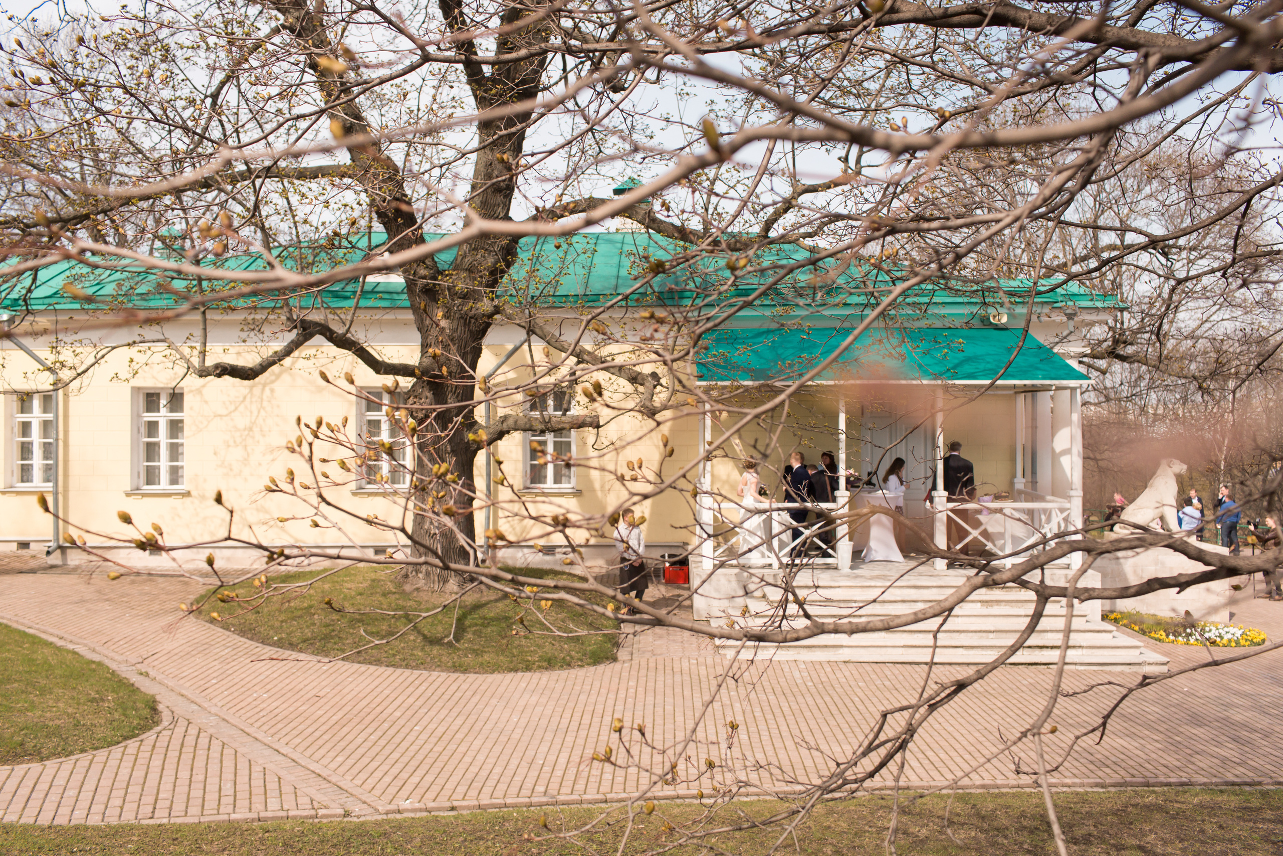 Свадьба Елена и Денис, Коломенское. Свадебный и репортажный фотограф (Москва, Королев и другие)